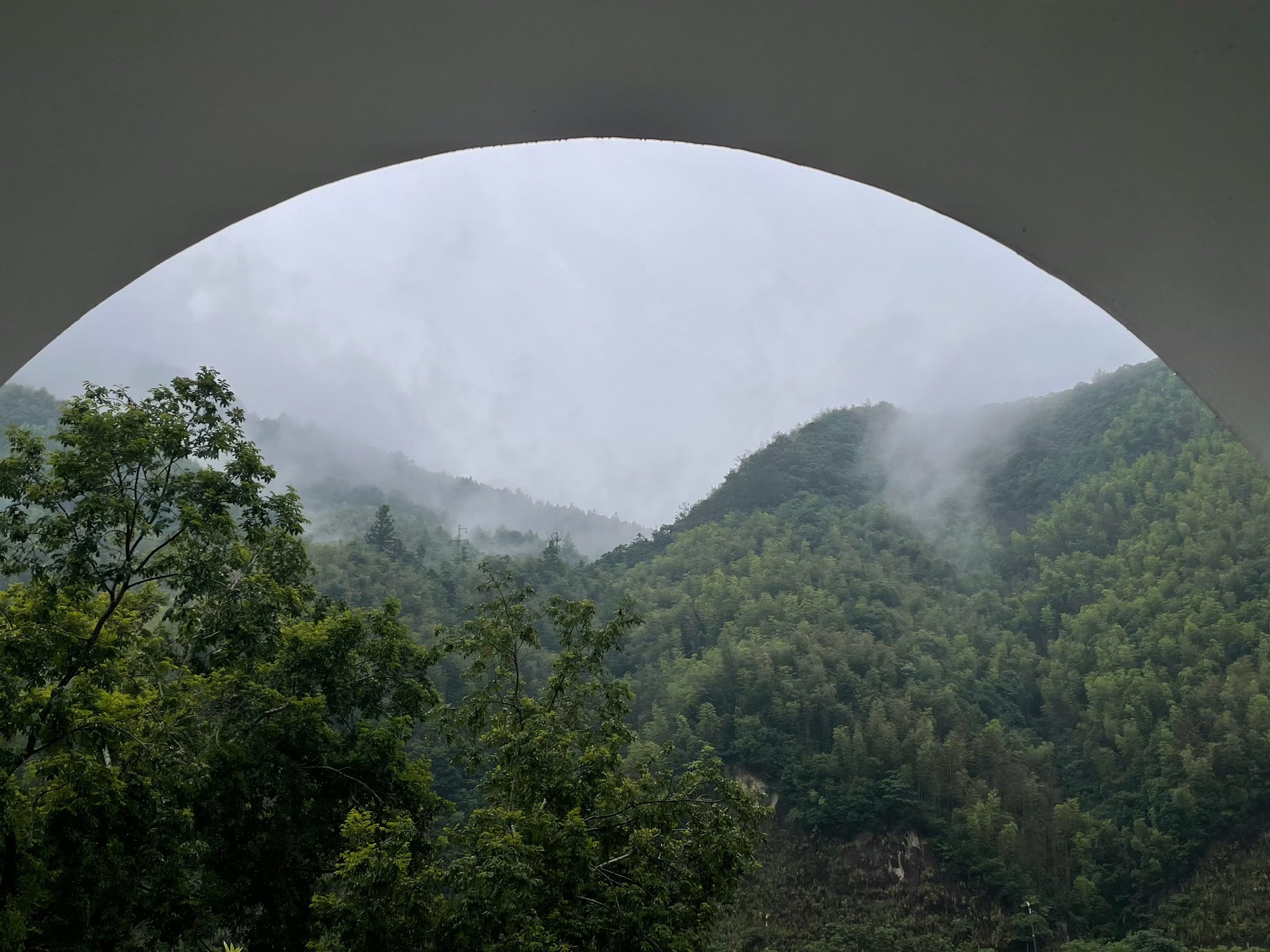景宁畲族自治县畲乡之窗旅游区旅行图片 3