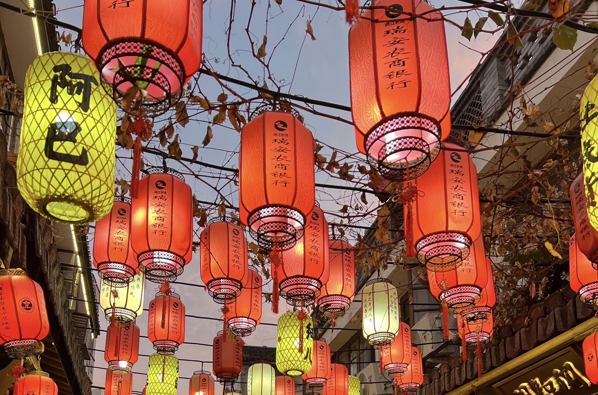 景宁畲族自治县畲乡之窗旅游区旅行图片 2