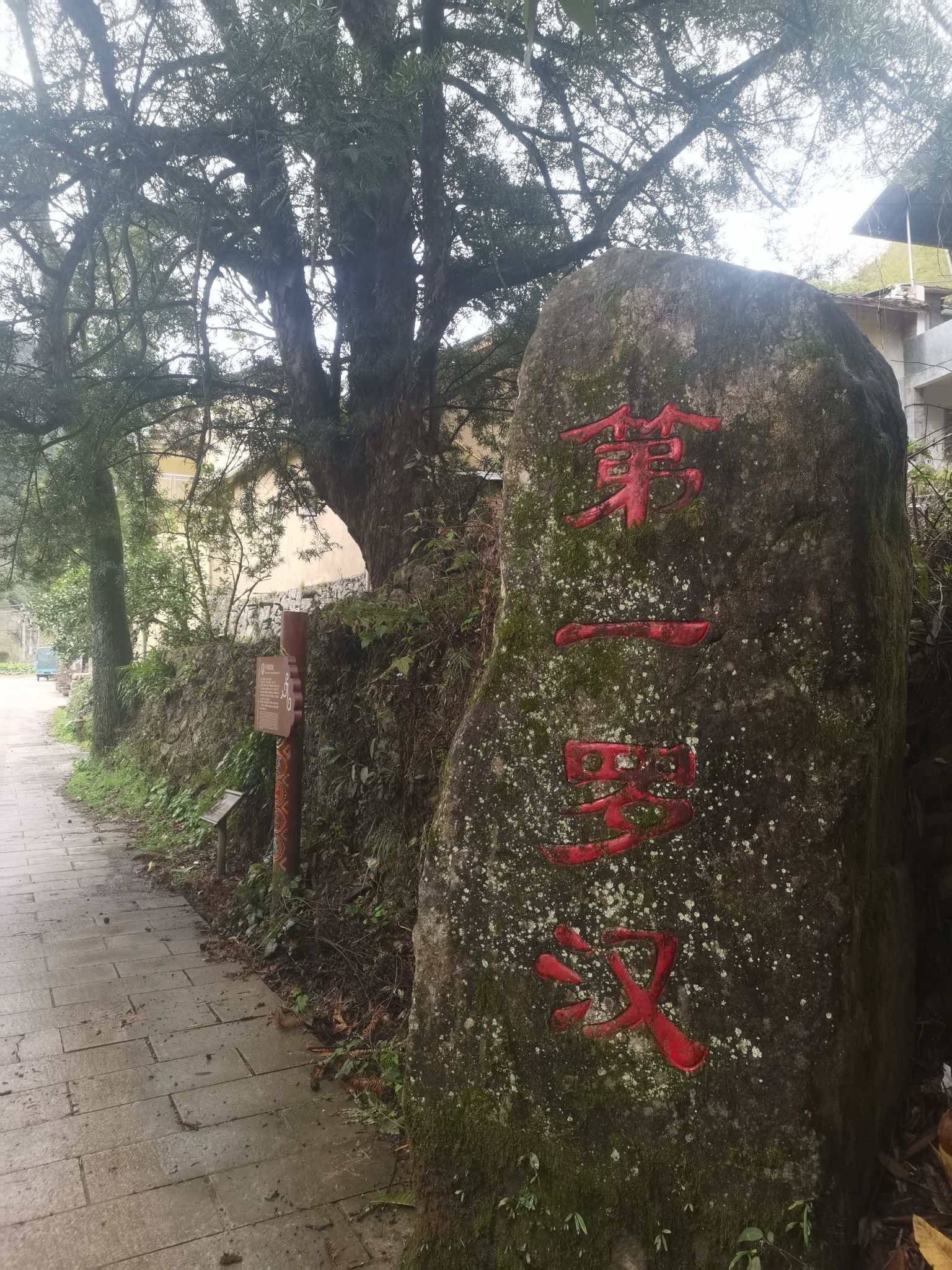 景宁畲族自治县畲乡之窗旅游区旅行图片 1