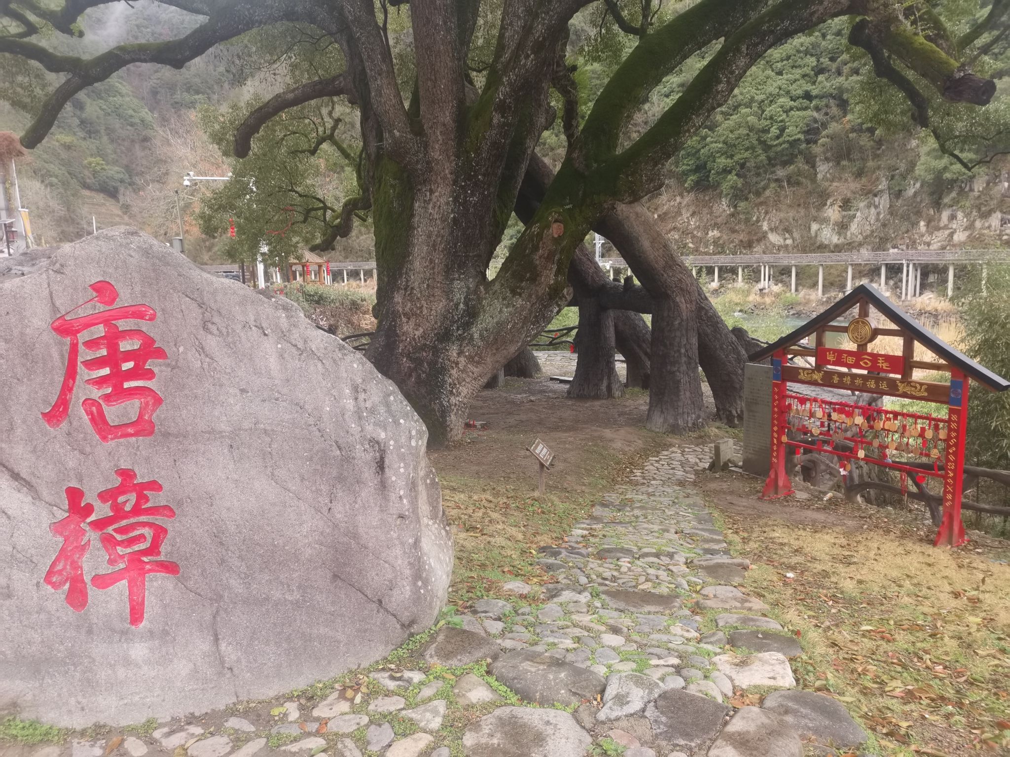 景宁畲族自治县畲乡之窗旅游区旅行图片 2