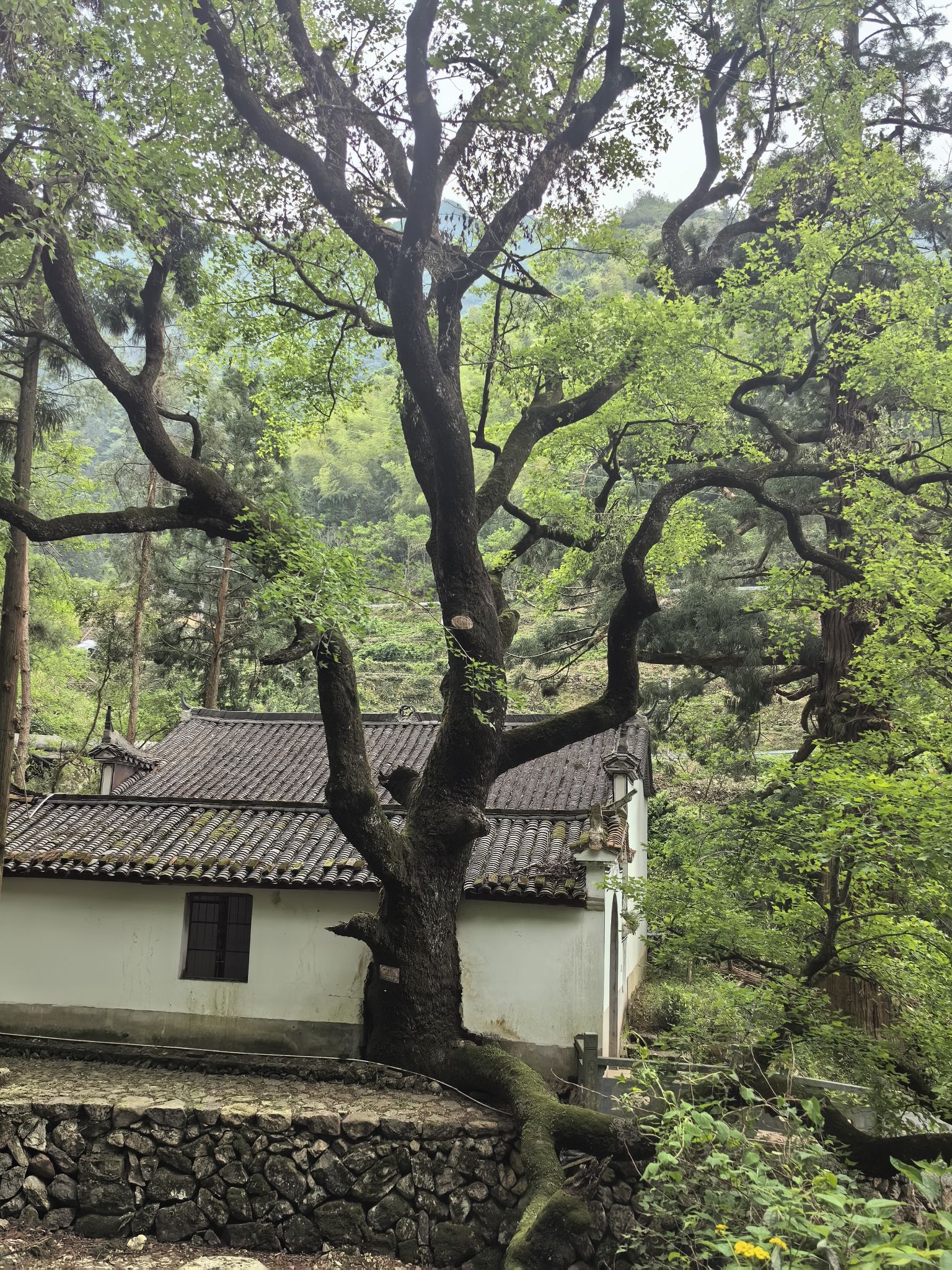 云鹰山庙实景照片