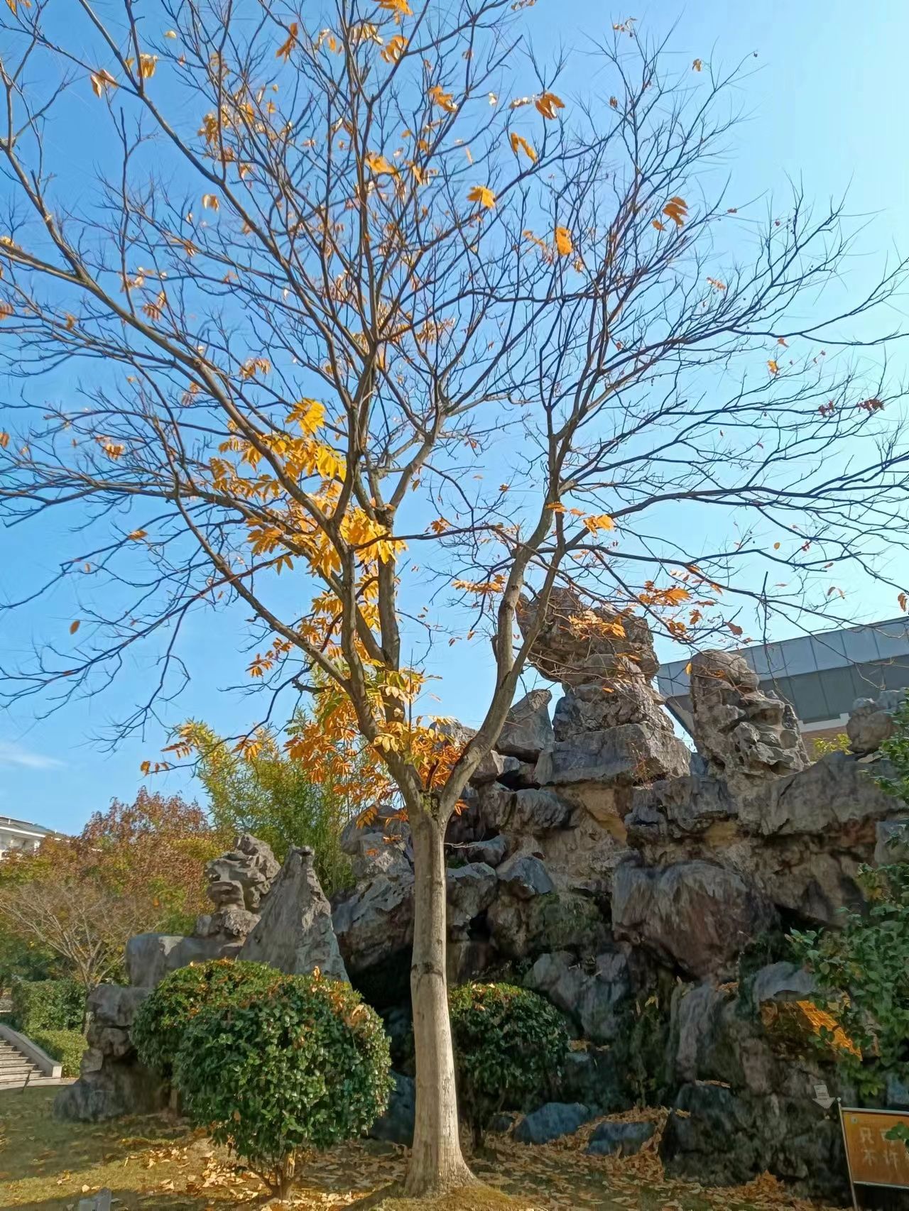 丽水市职业高级中学