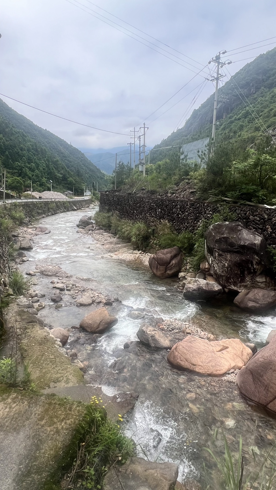 九龙山国家级自然保护区旅行图片 3