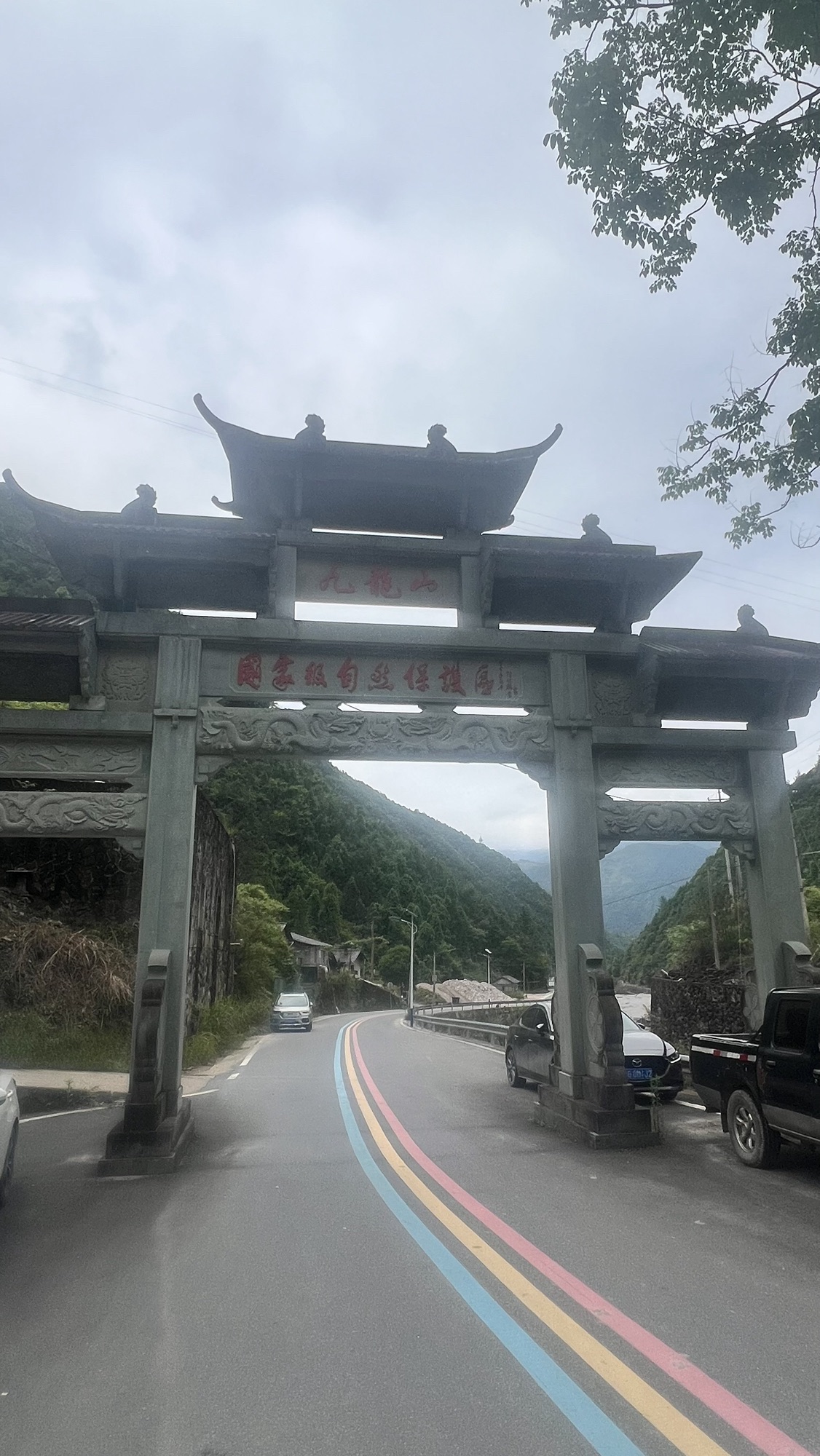 九龙山国家级自然保护区旅行图片 2