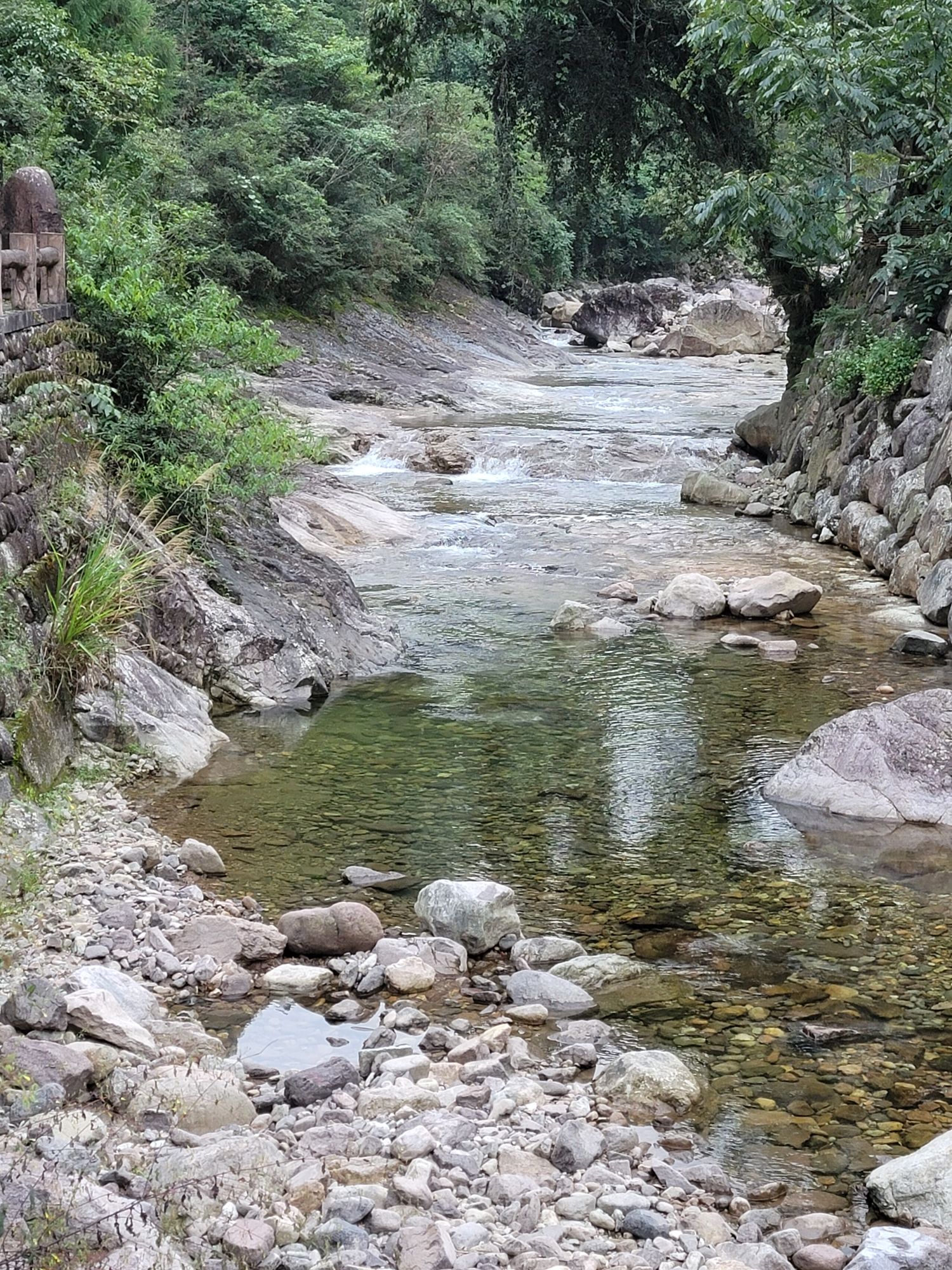 九龙山国家级自然保护区旅行图片 3