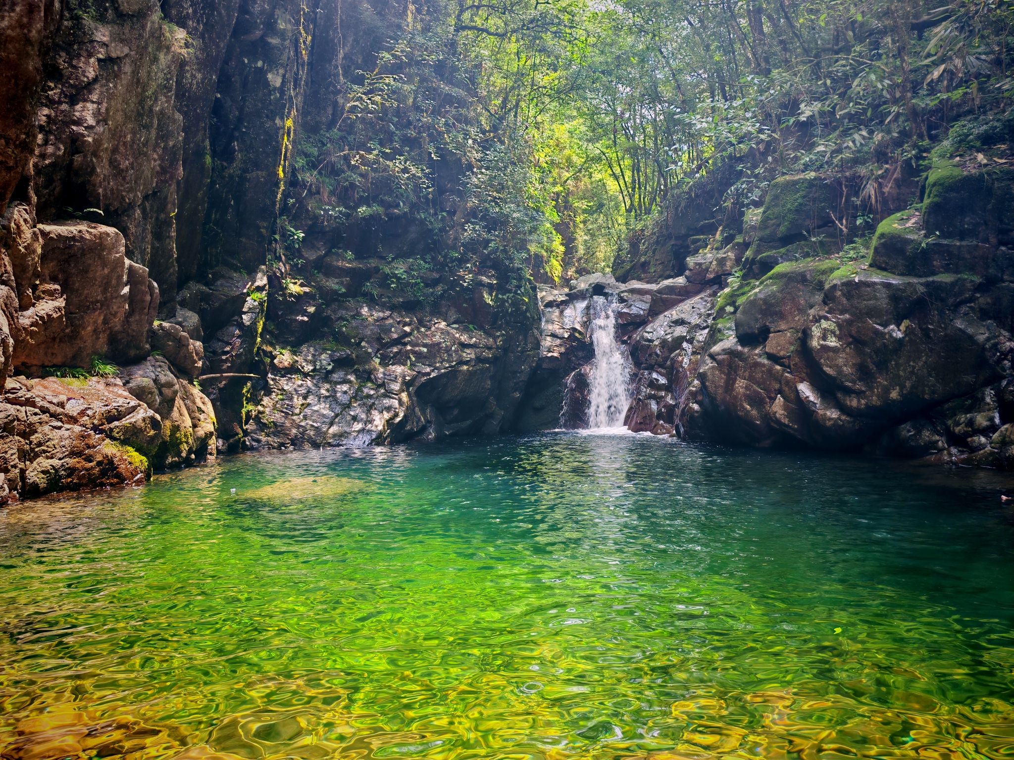 九龙山国家级自然保护区旅行图片 2