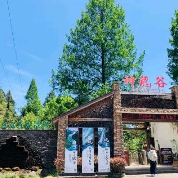 遂昌神龙谷景区(暂停开放)