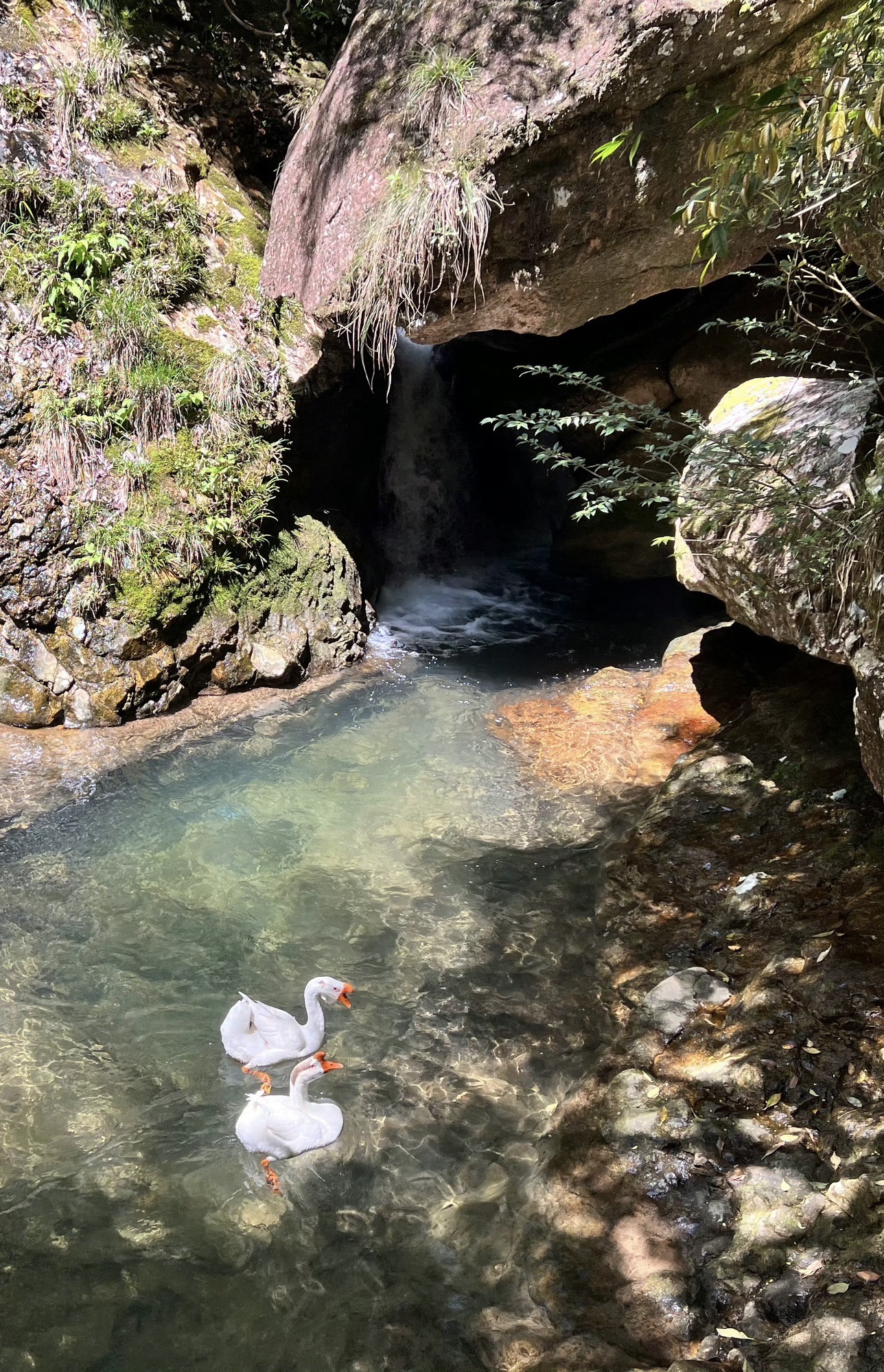 遂昌神龙谷景区(暂停开放)旅行图片 2