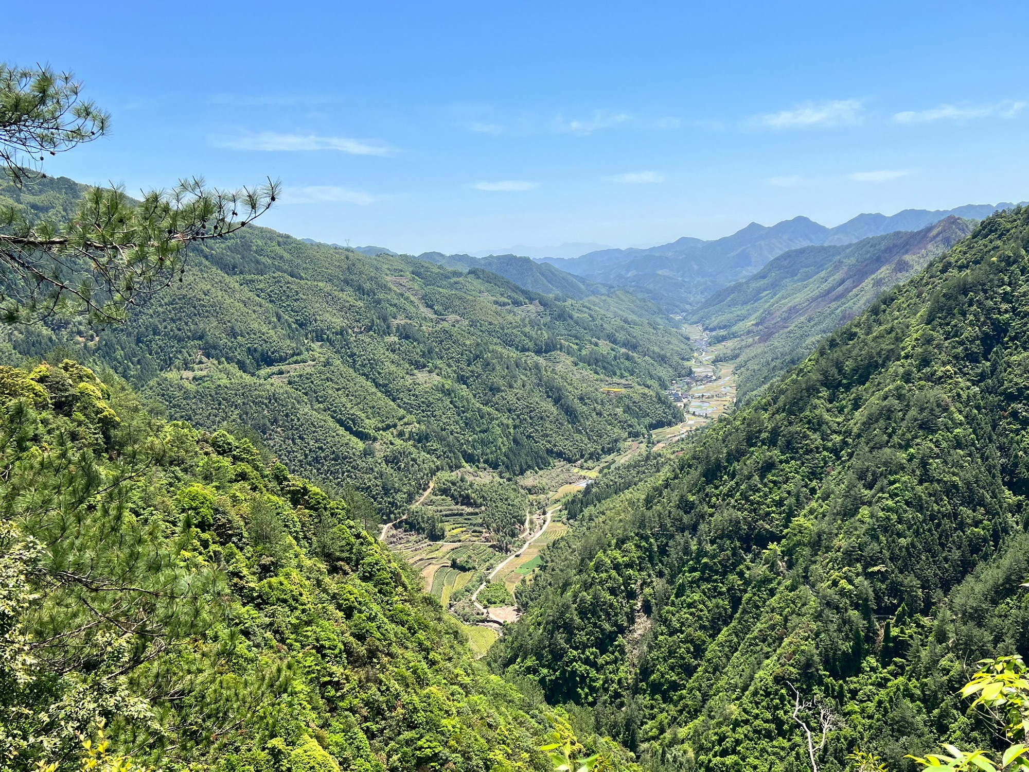 遂昌神龙谷景区(暂停开放)旅行图片 1