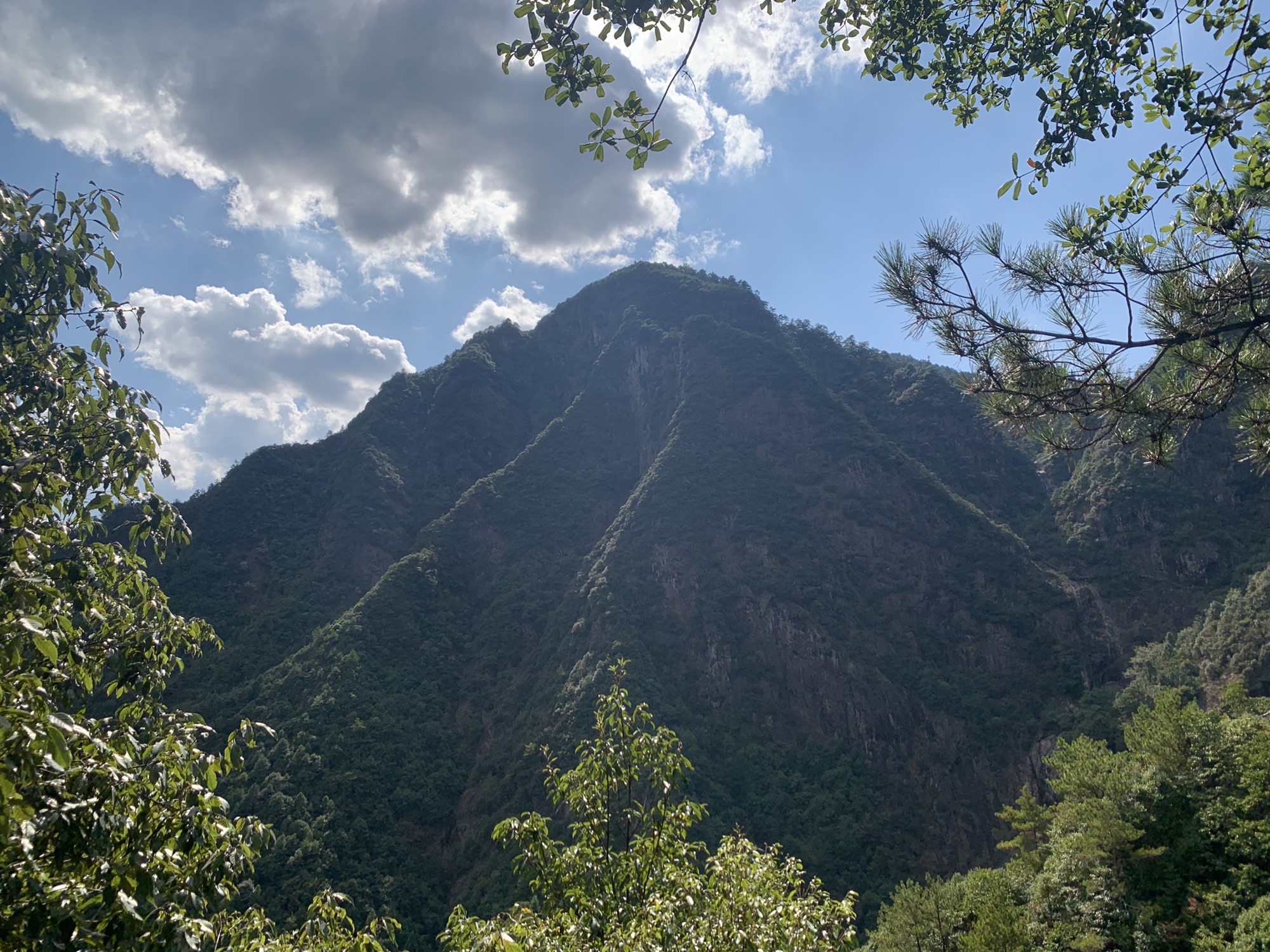 遂昌神龙谷景区(暂停开放)旅行图片 1