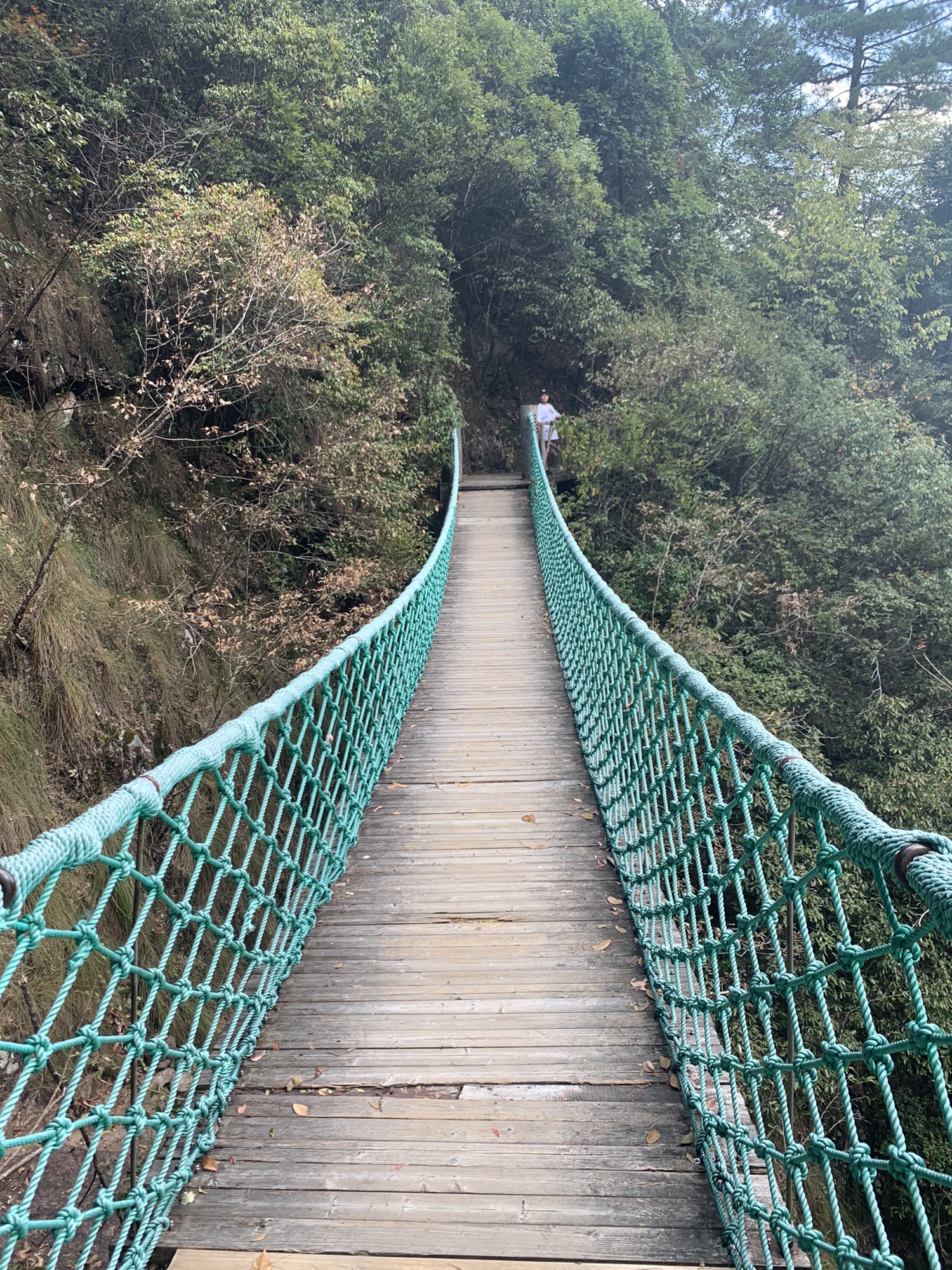 遂昌神龙谷景区(暂停开放)旅行图片 3