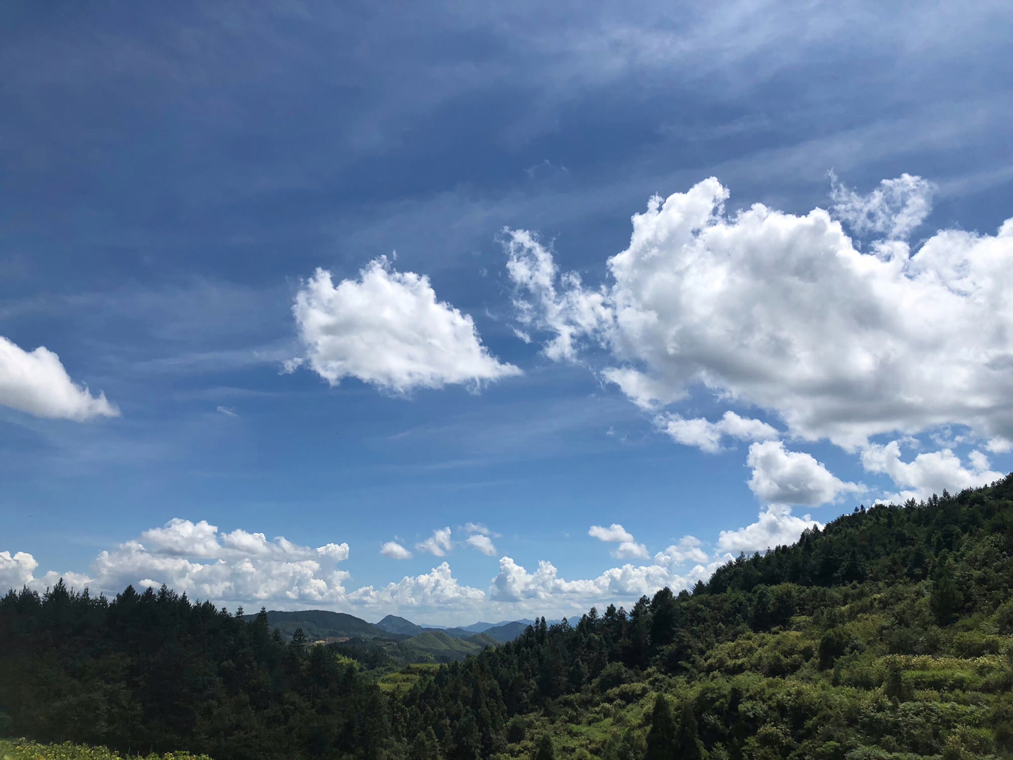 大山峰森林公园旅行图片 2