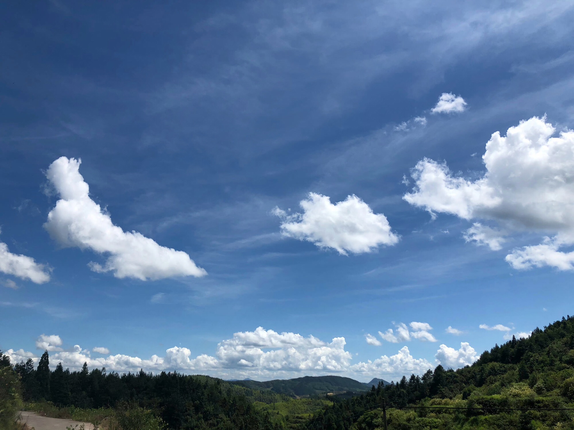 大山峰森林公园旅行图片 3