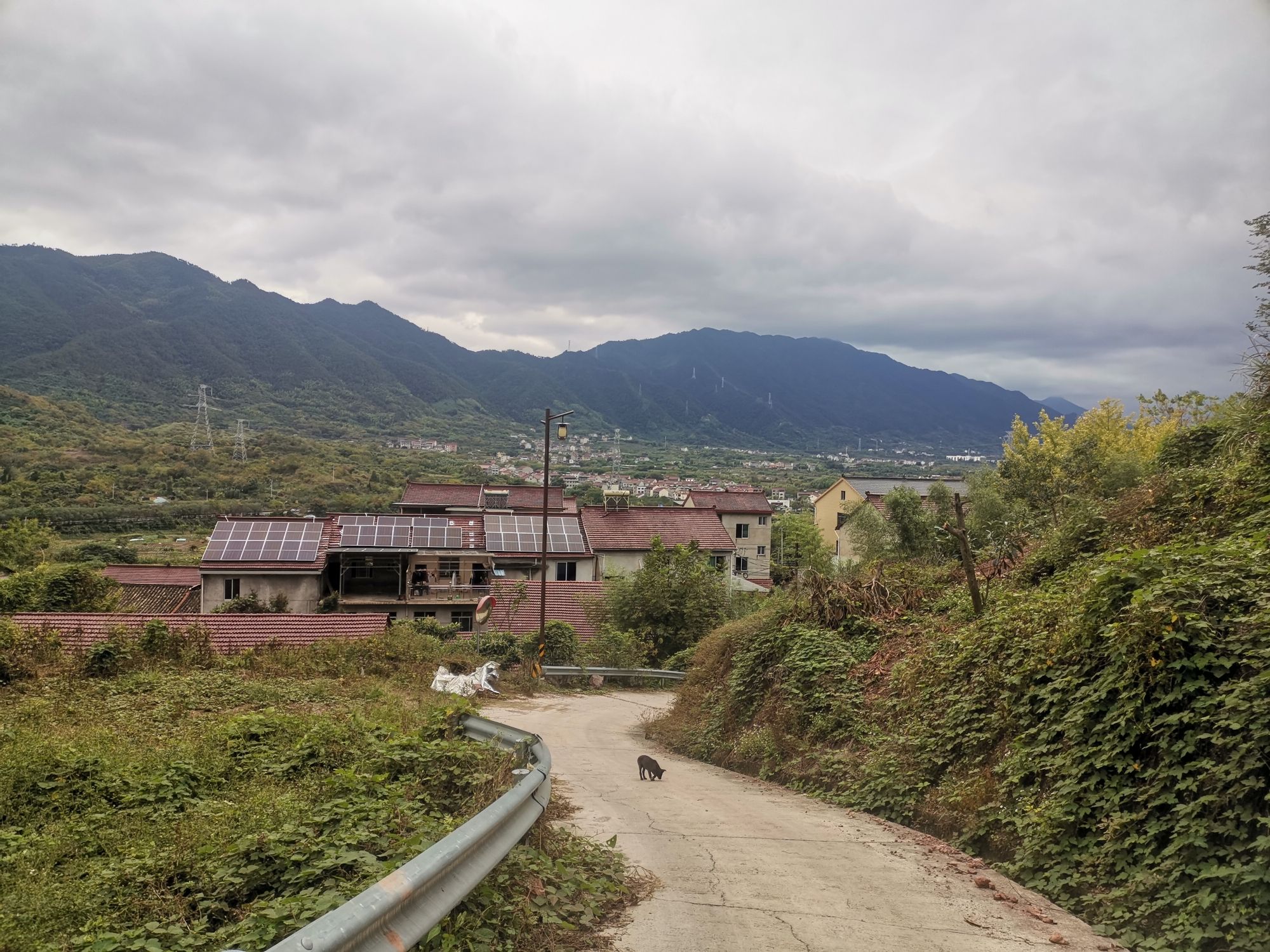 巾山塔旅行图片 1
