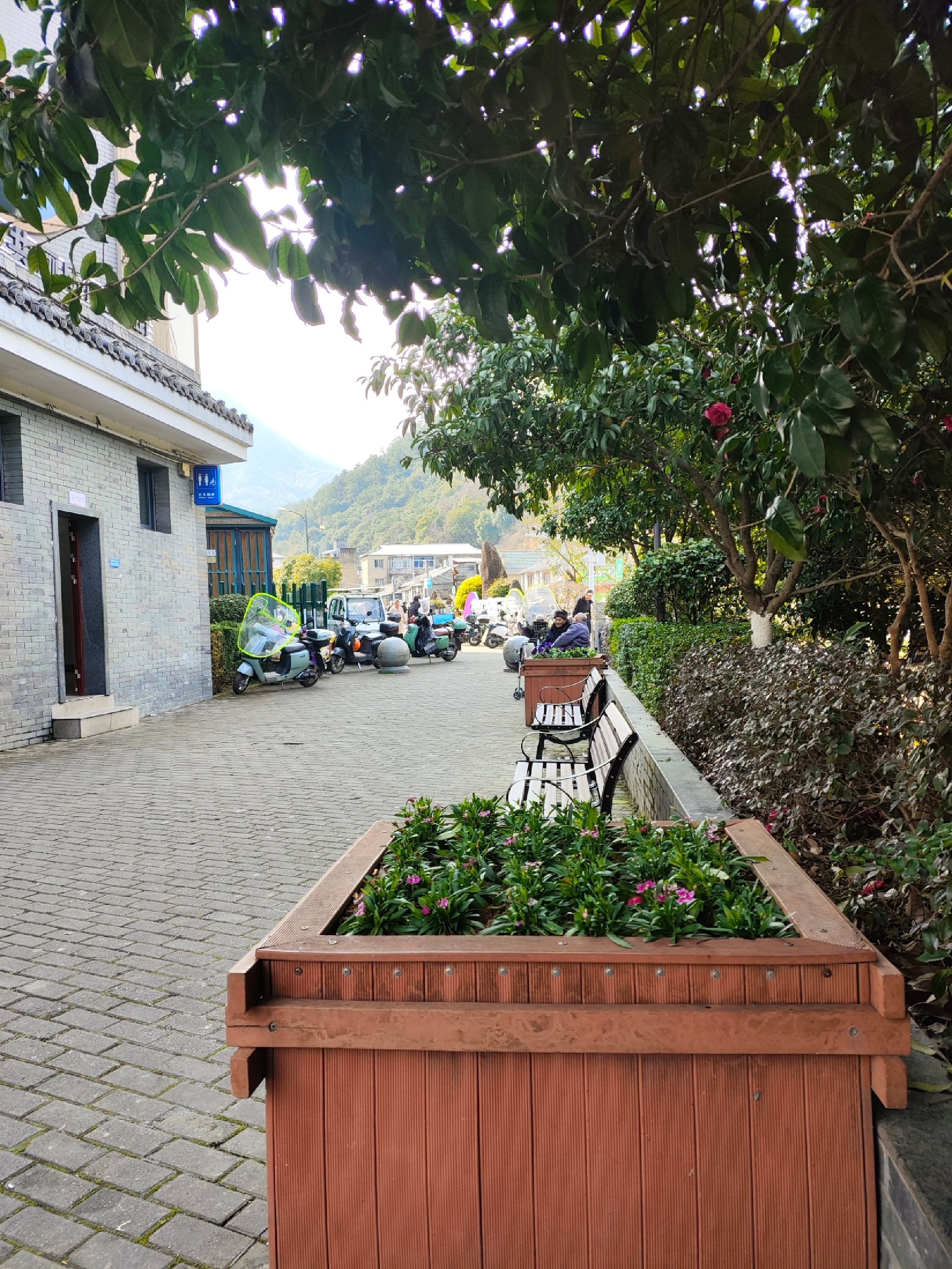 濛洲公园旅行图片 1