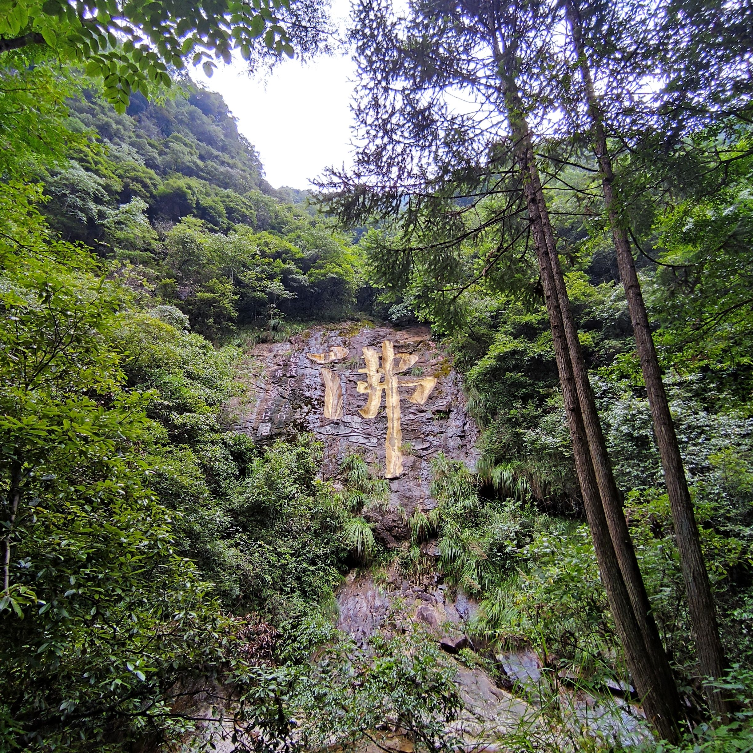 千佛山景区旅行图片 1