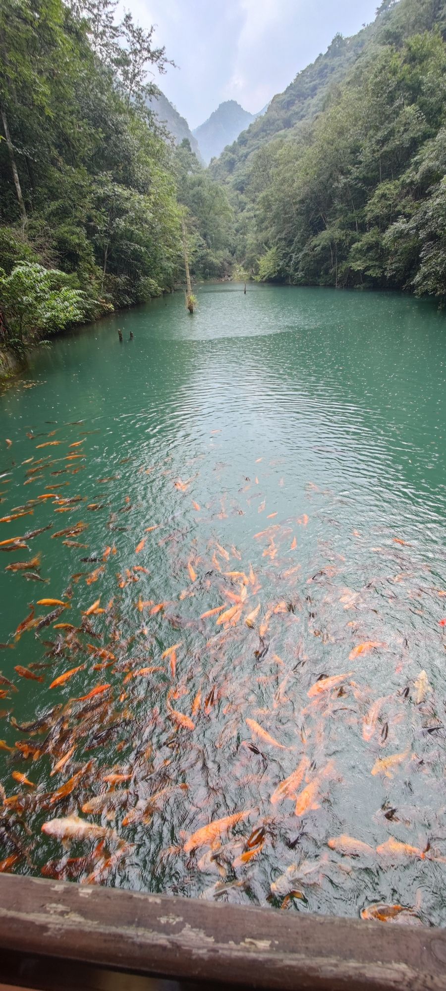 千佛山景区旅行图片 3