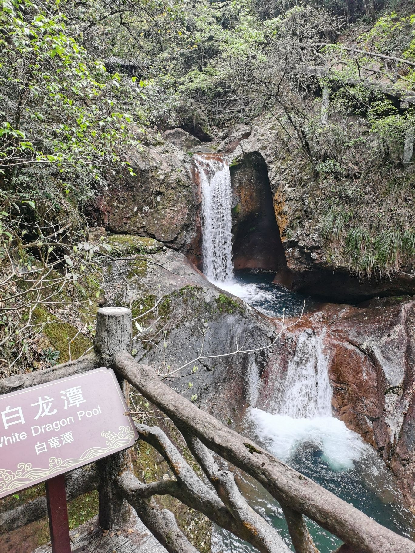 千佛山景区旅行图片 2