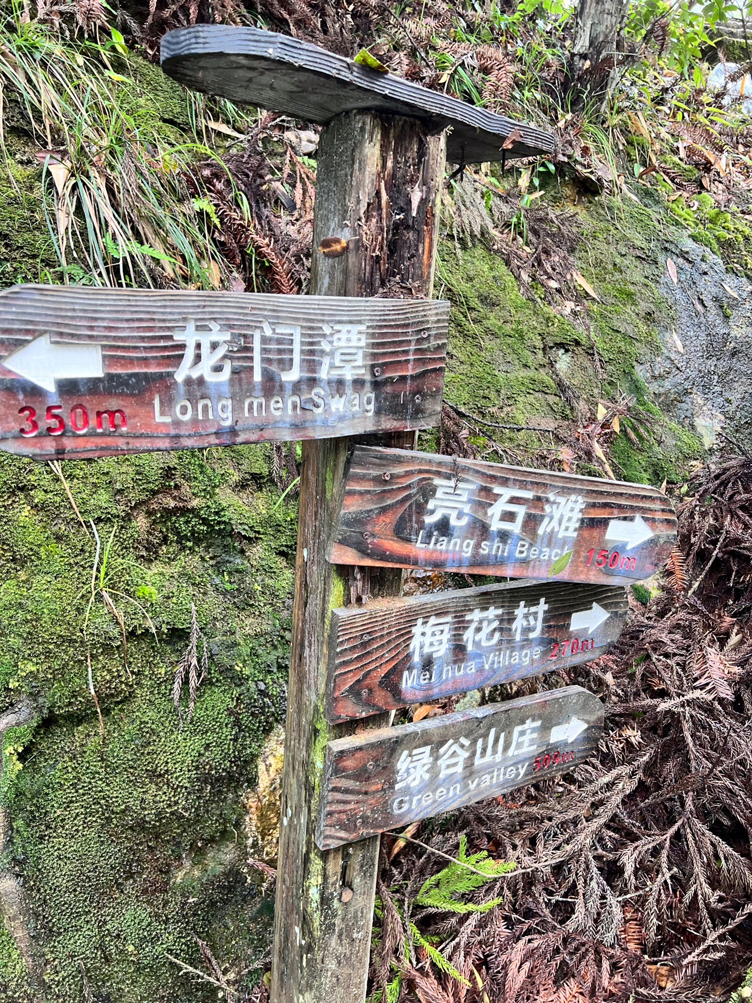 龙泉白云岩旅行图片 2