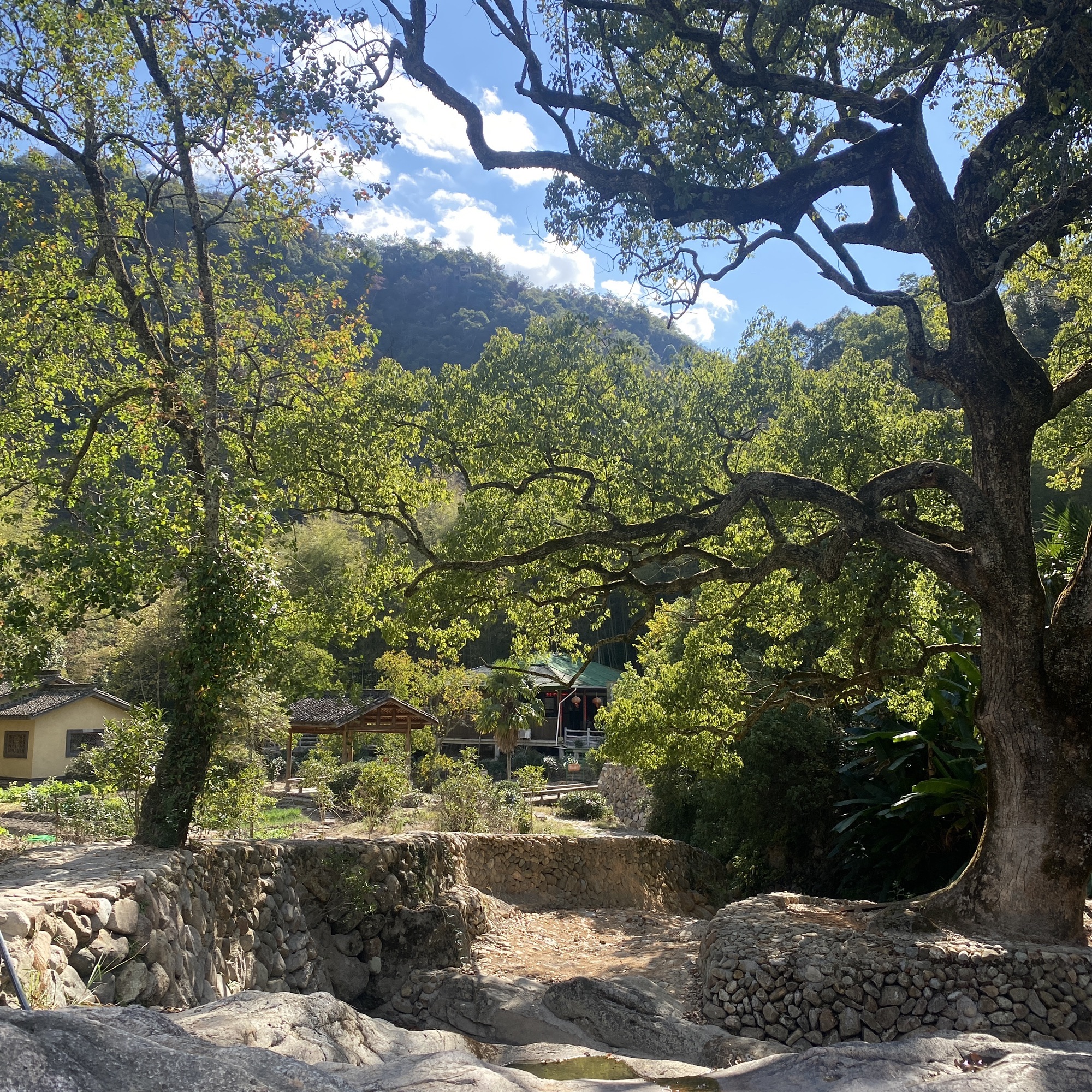 龙泉白云岩旅行图片 1