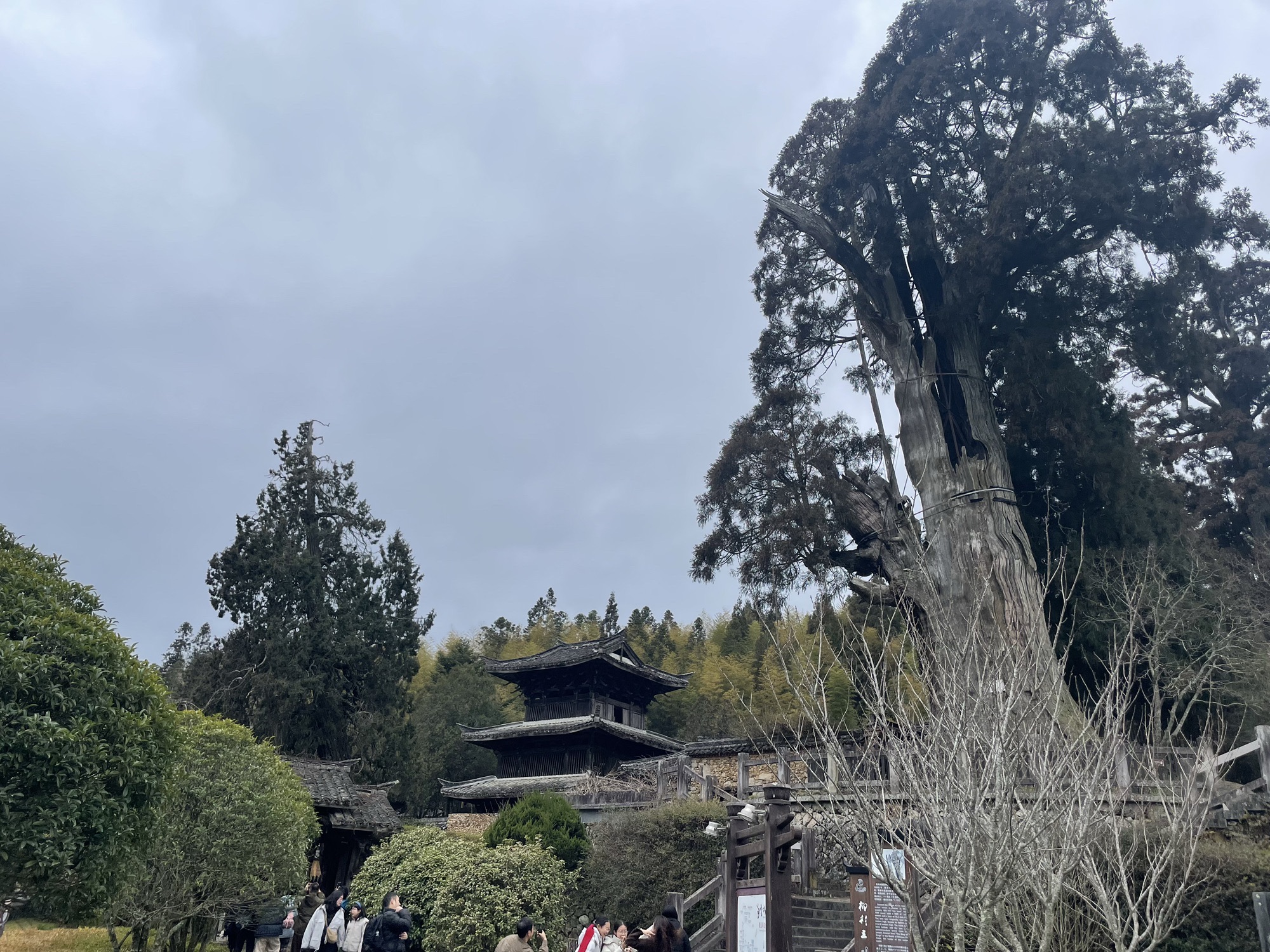 景宁云中大漈景区旅行图片 1