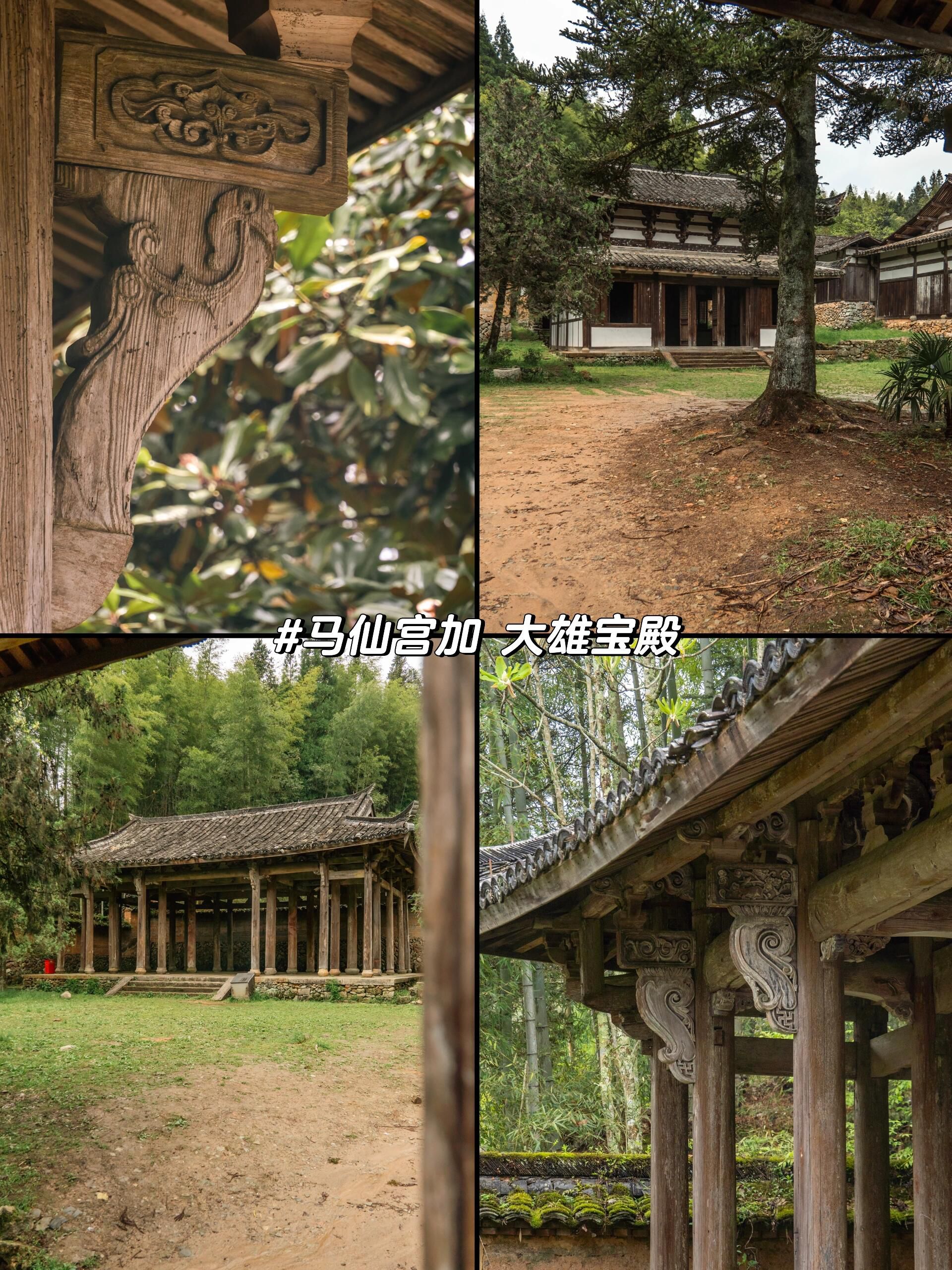 景宁云中大漈景区旅行图片 2