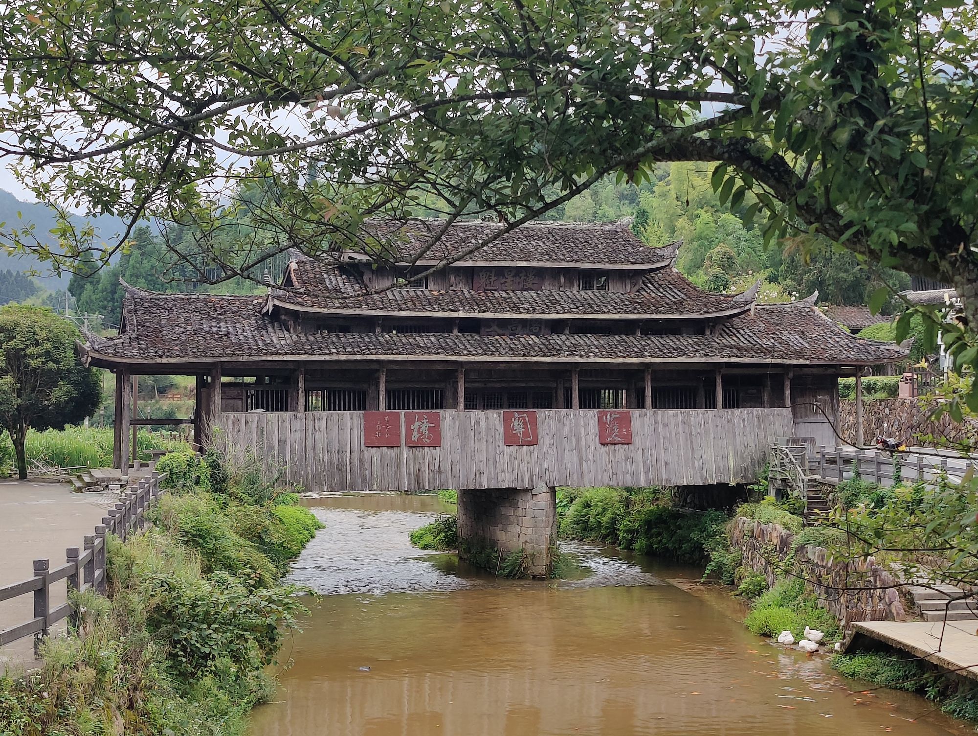 景宁云中大漈景区旅行图片 2