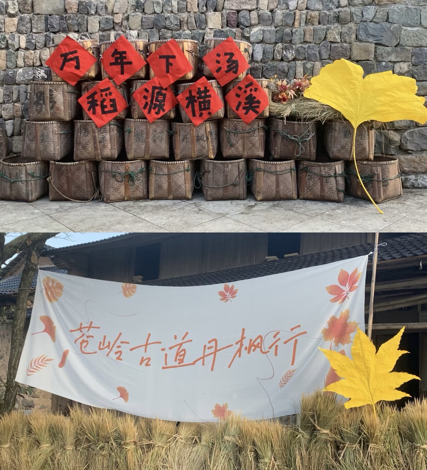 苍岭古道旅行图片 2