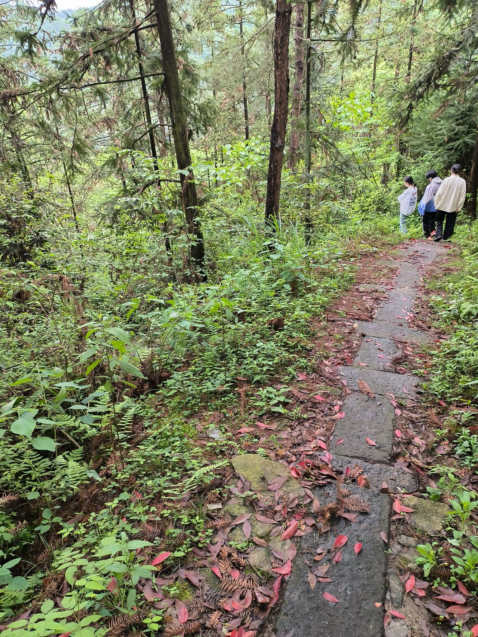 苍岭古道旅行图片 2