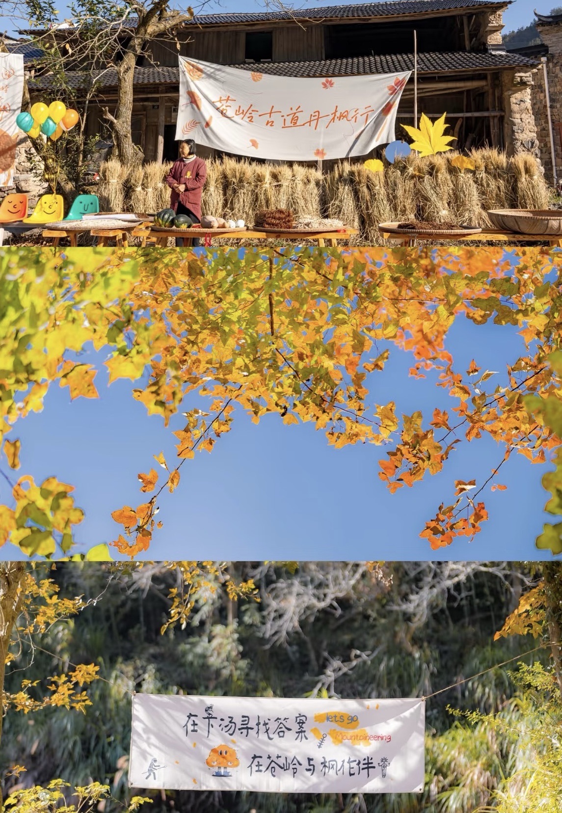 苍岭古道旅行图片 3