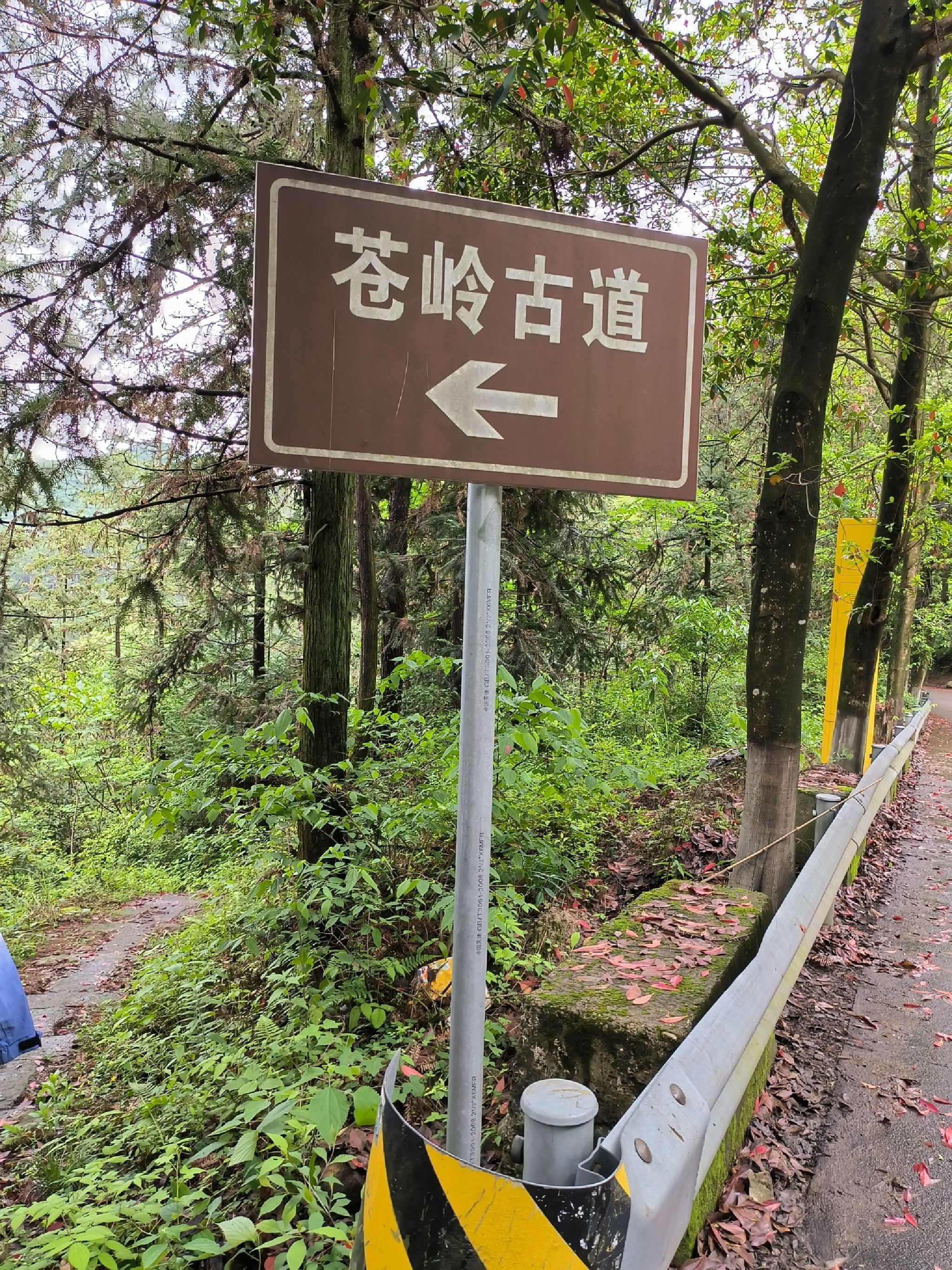 苍岭古道旅行图片 1