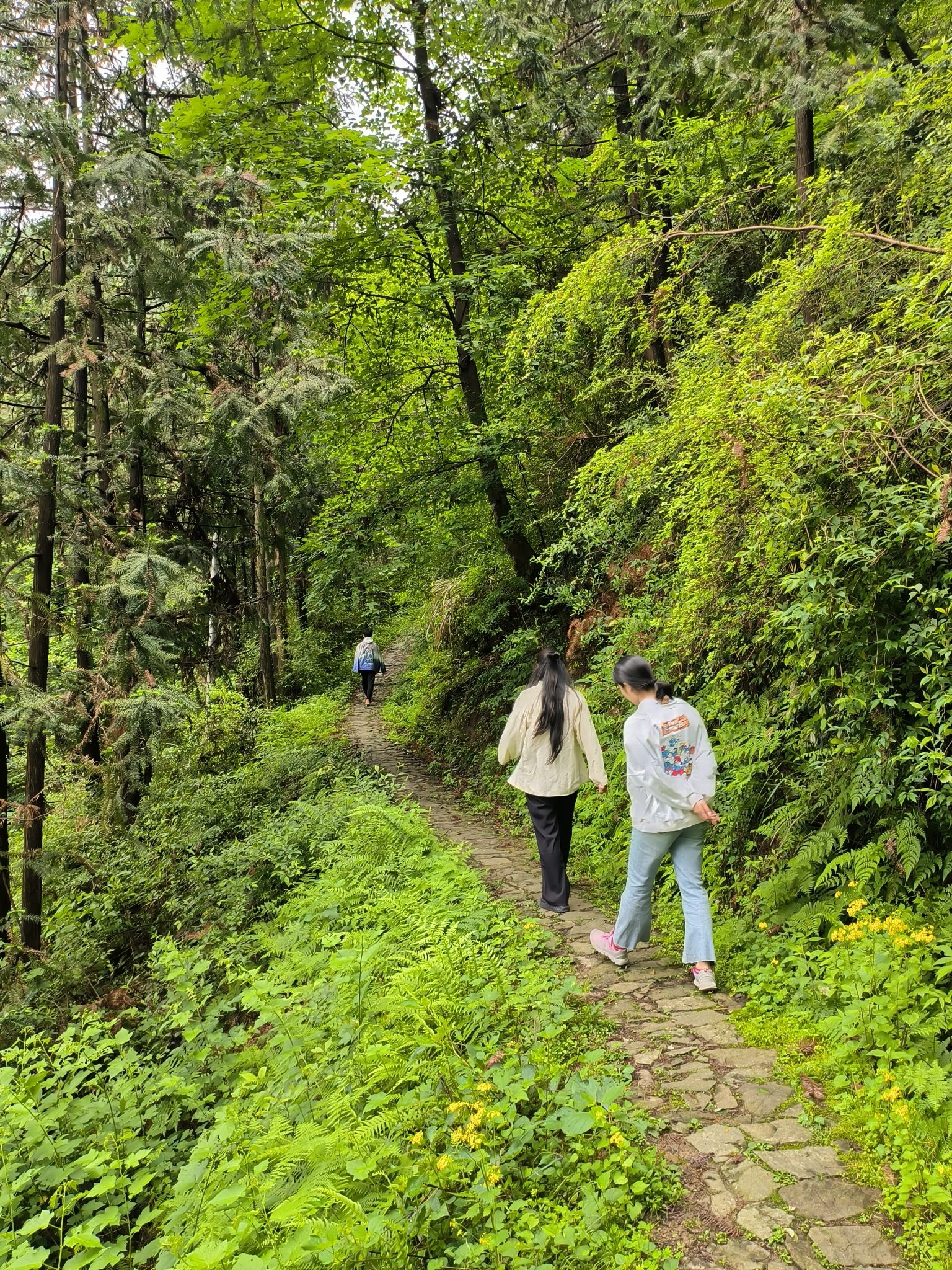 苍岭古道旅行图片 3