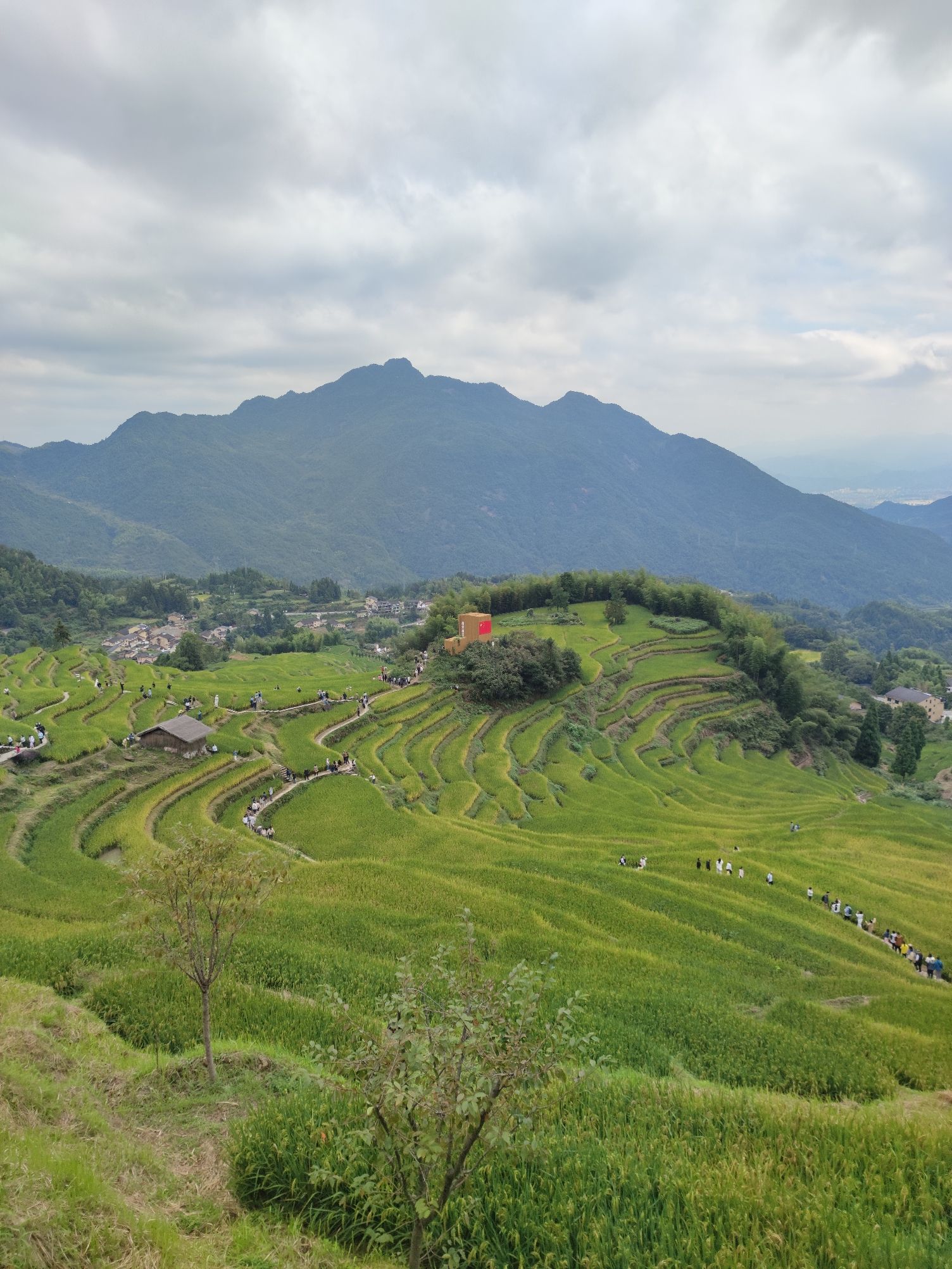 云和梯田景区旅行图片 3