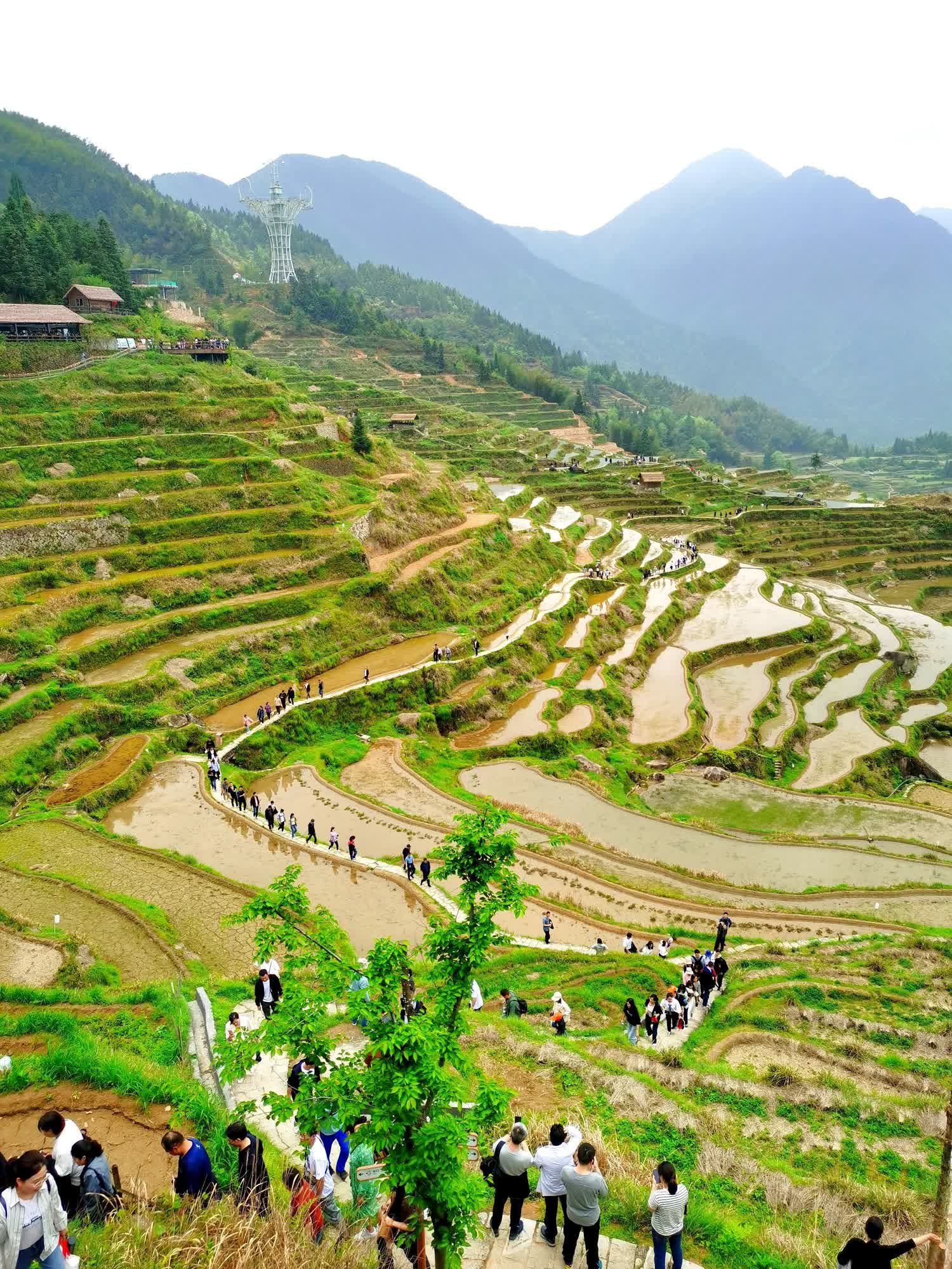 云和梯田景区旅行图片 3