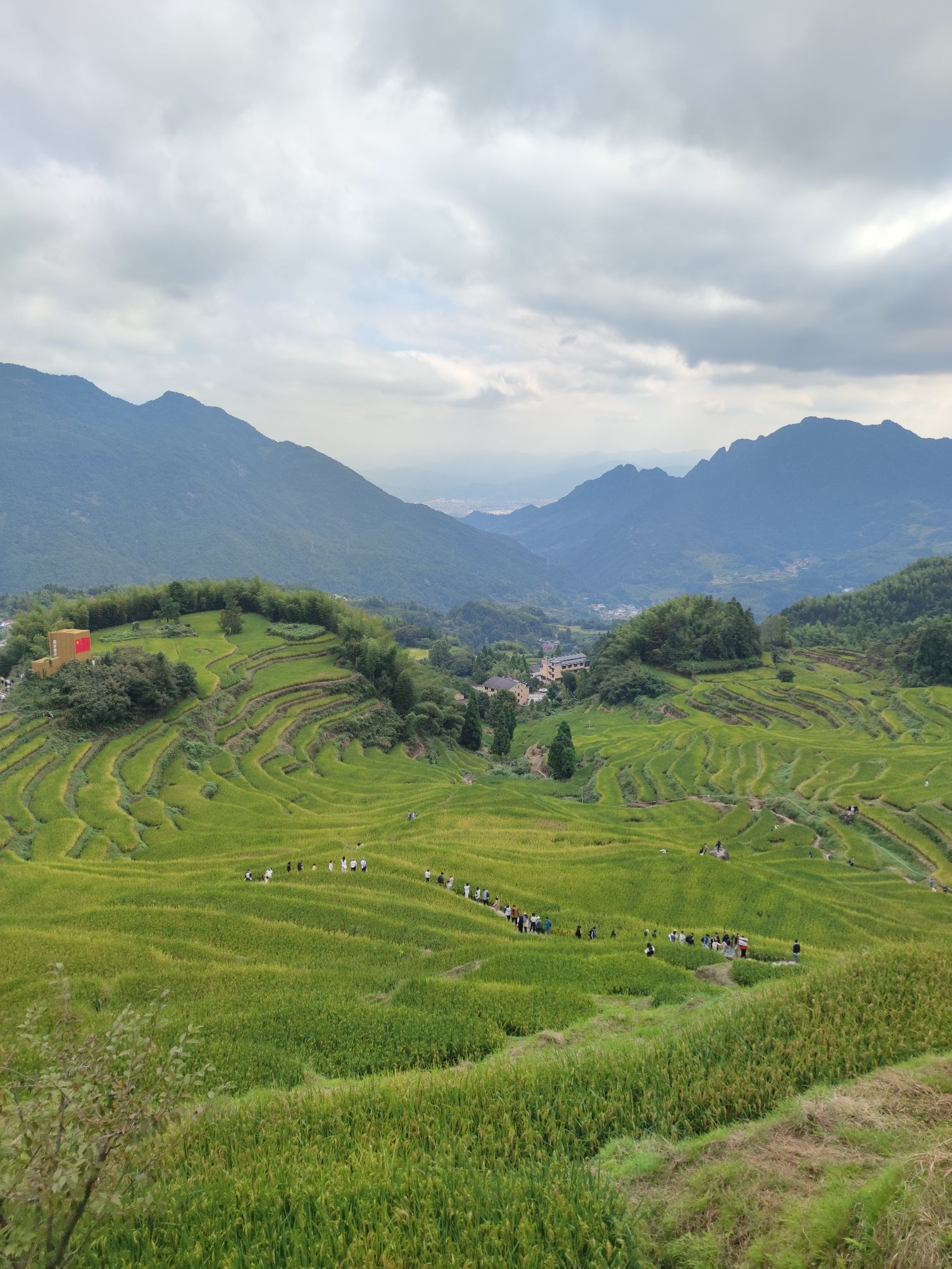 云和梯田景区旅行图片 2