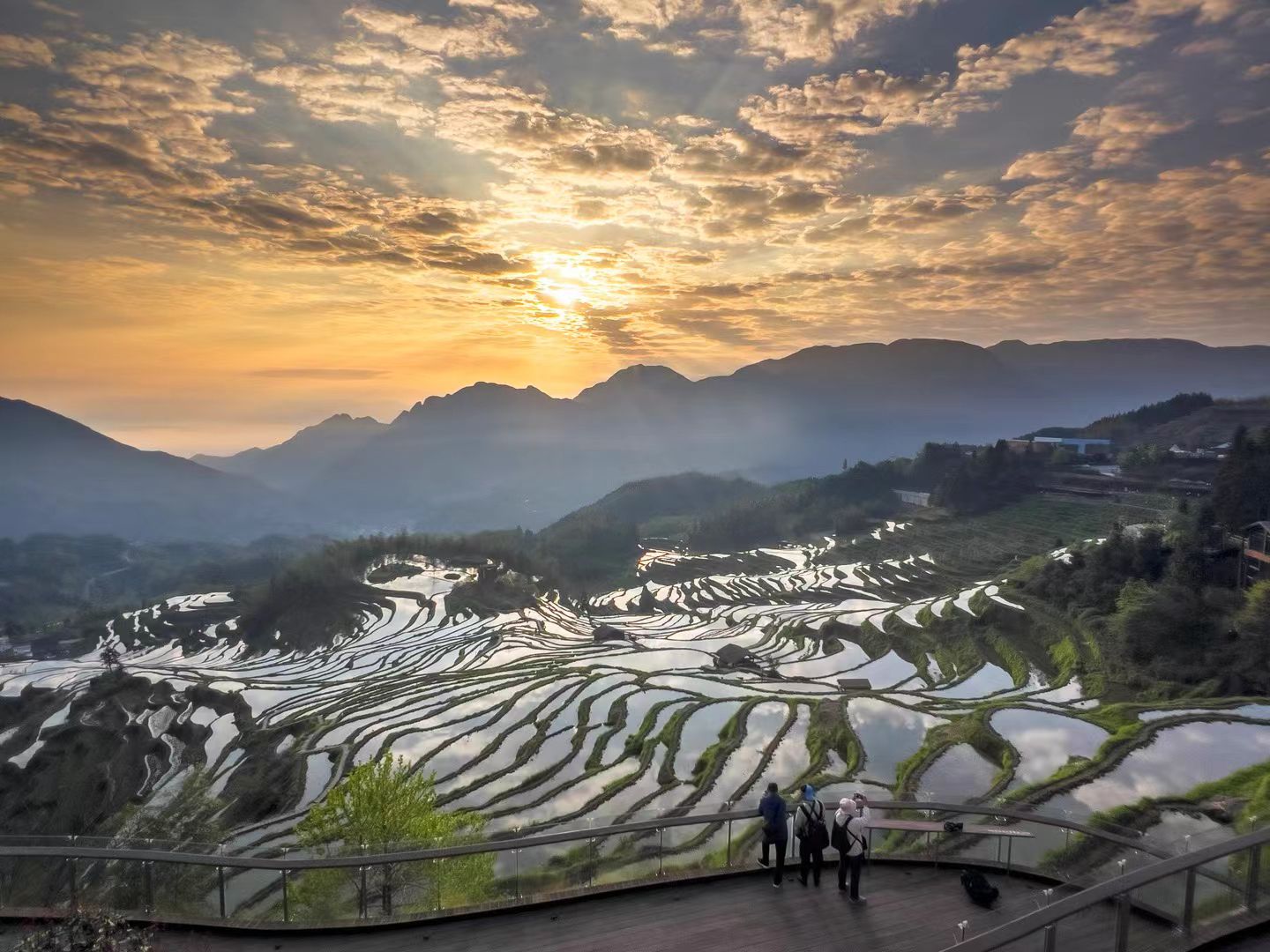 云和梯田景区旅行图片 2