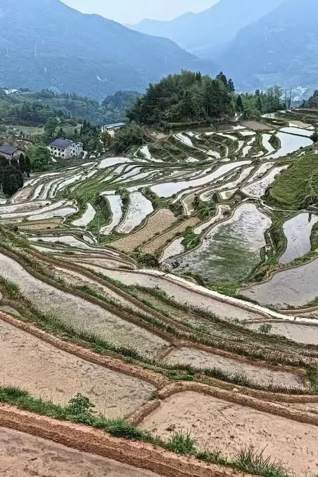 云和梯田景区旅行图片 2