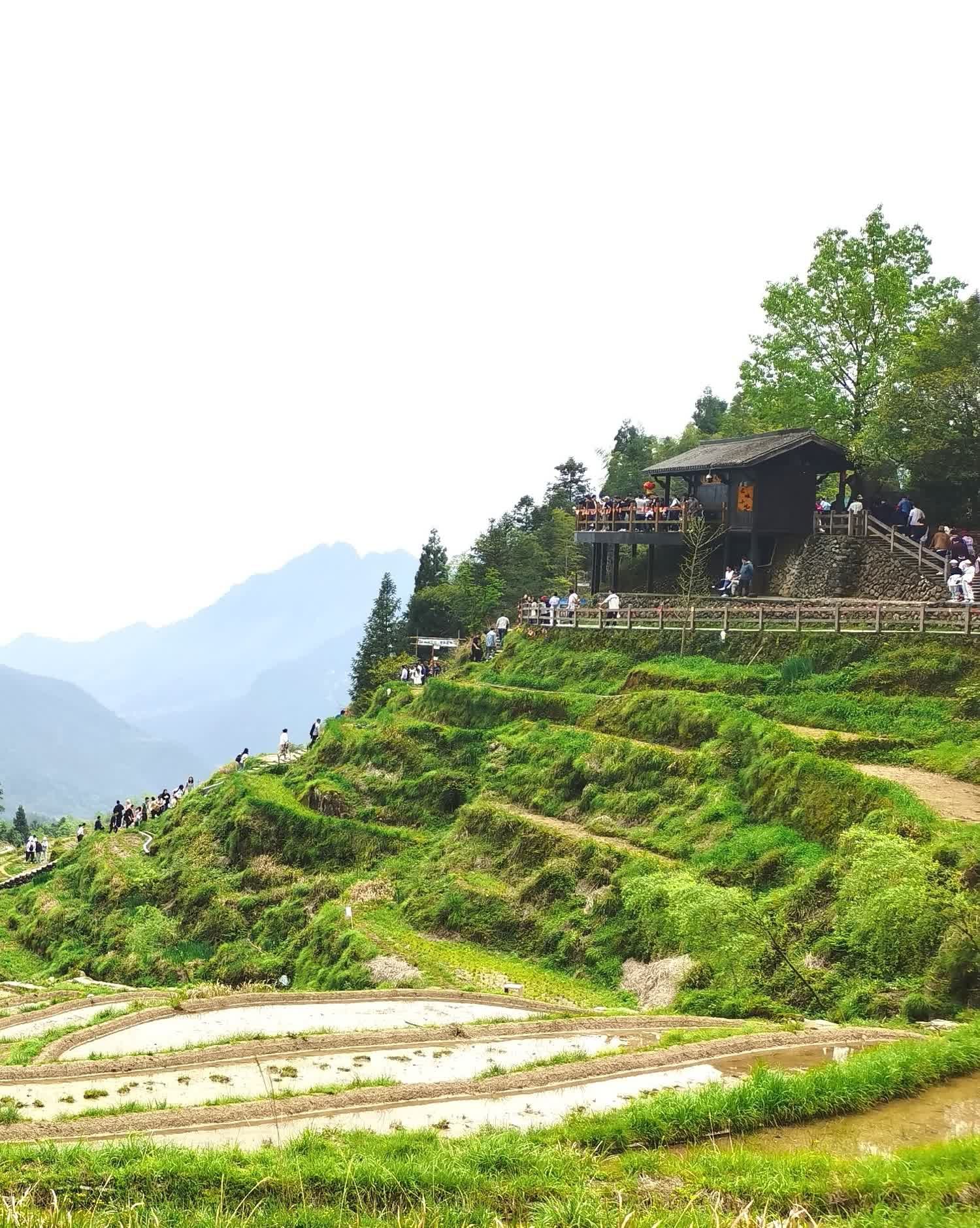 云和梯田景区旅行图片 1