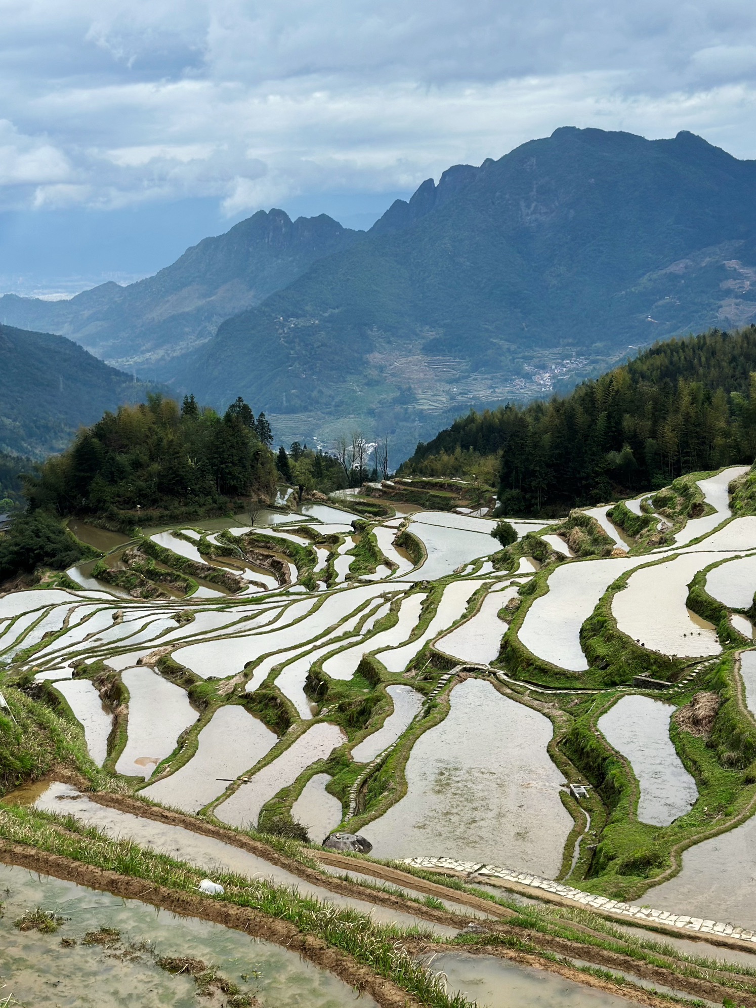 云和梯田景区旅行图片 1