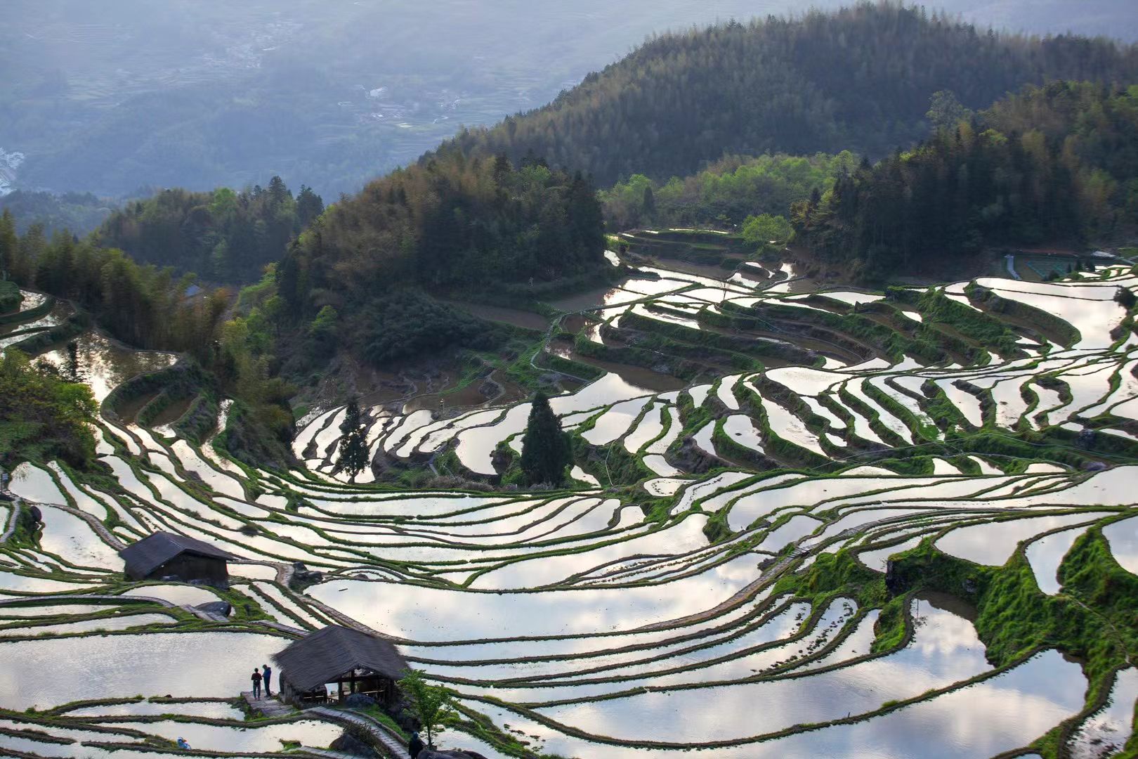 云和梯田景区旅行图片 1