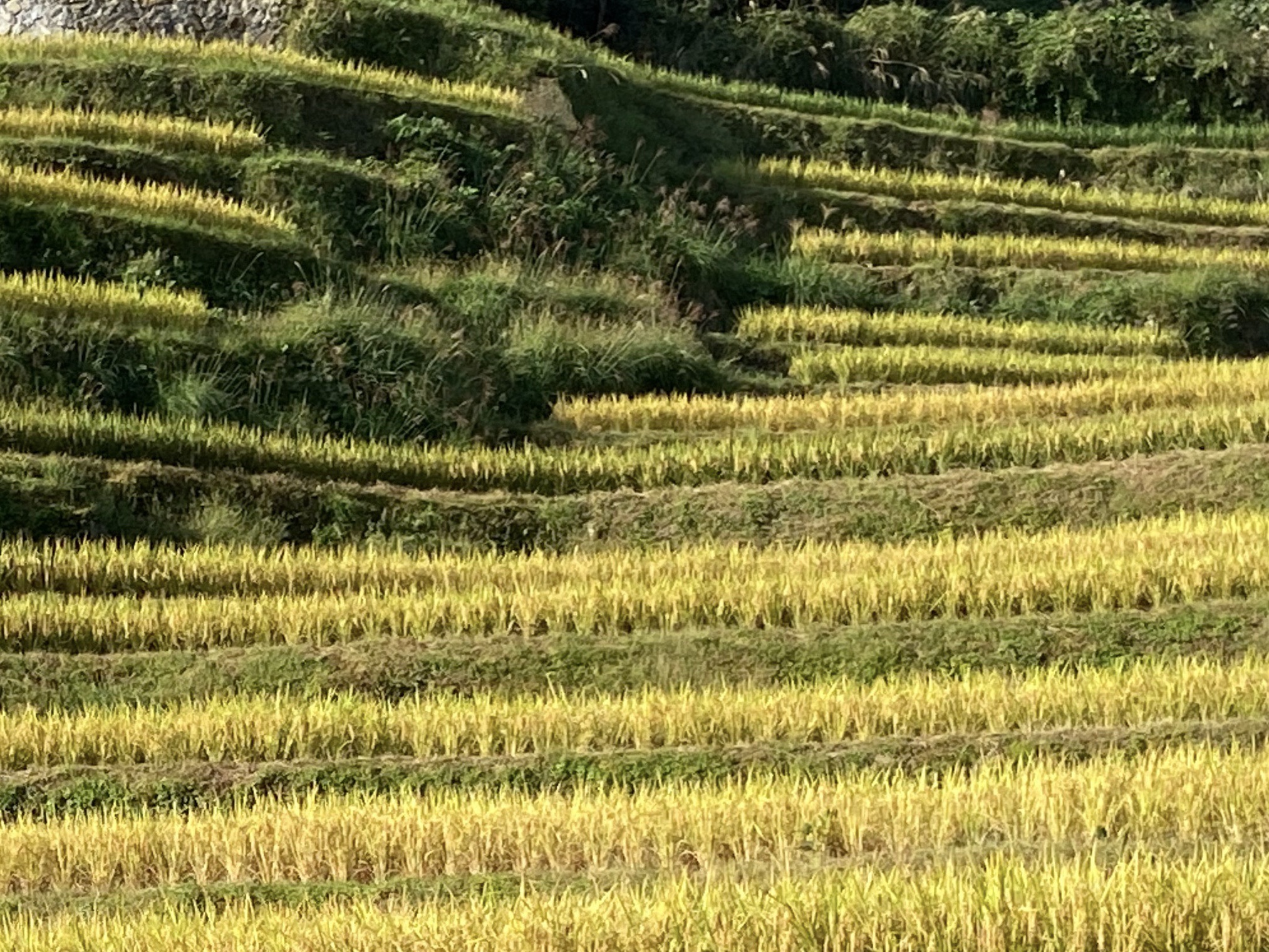 云和湖仙宫景区旅行图片 2