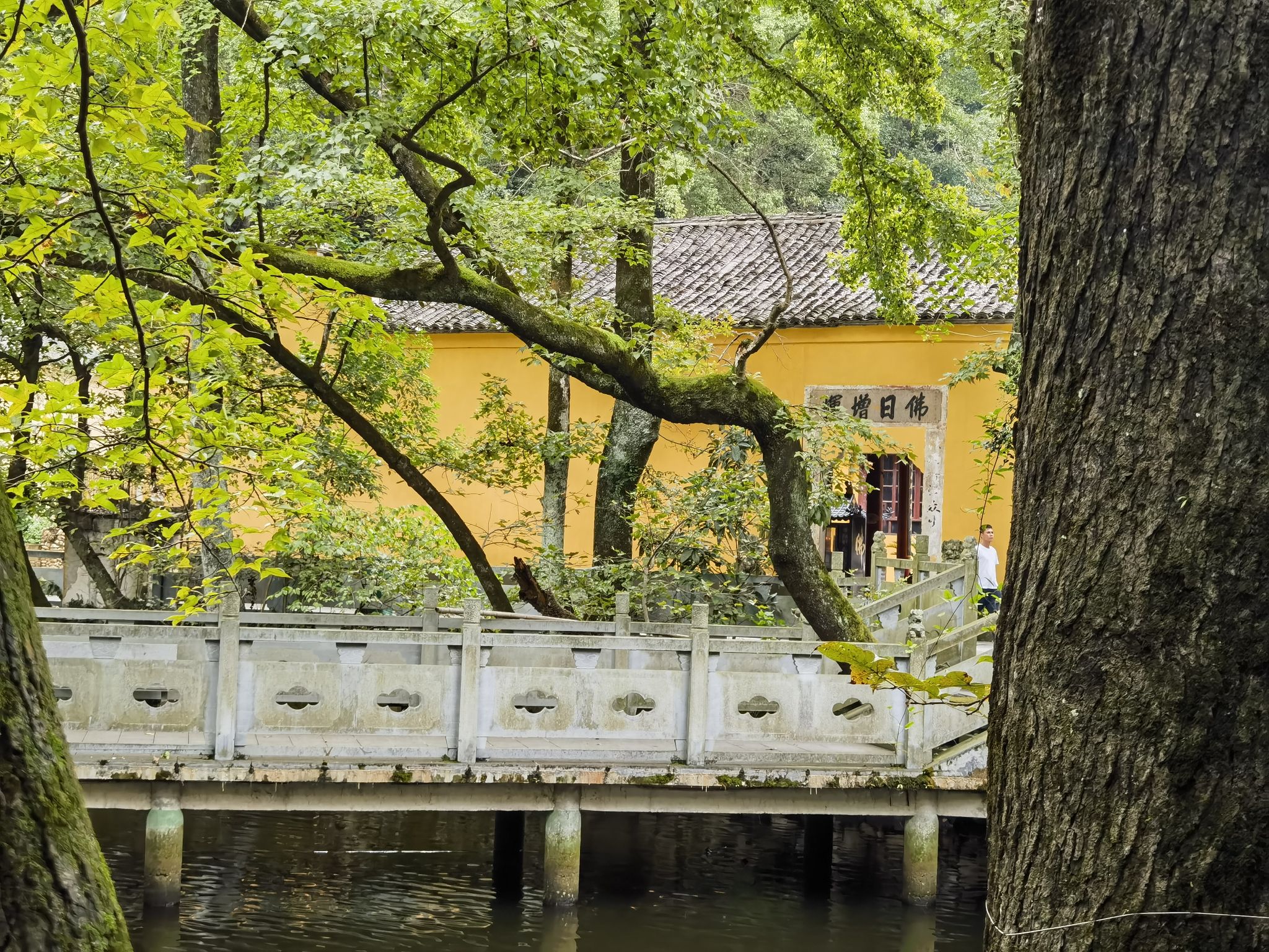 缙云黄龙景区旅行图片 2