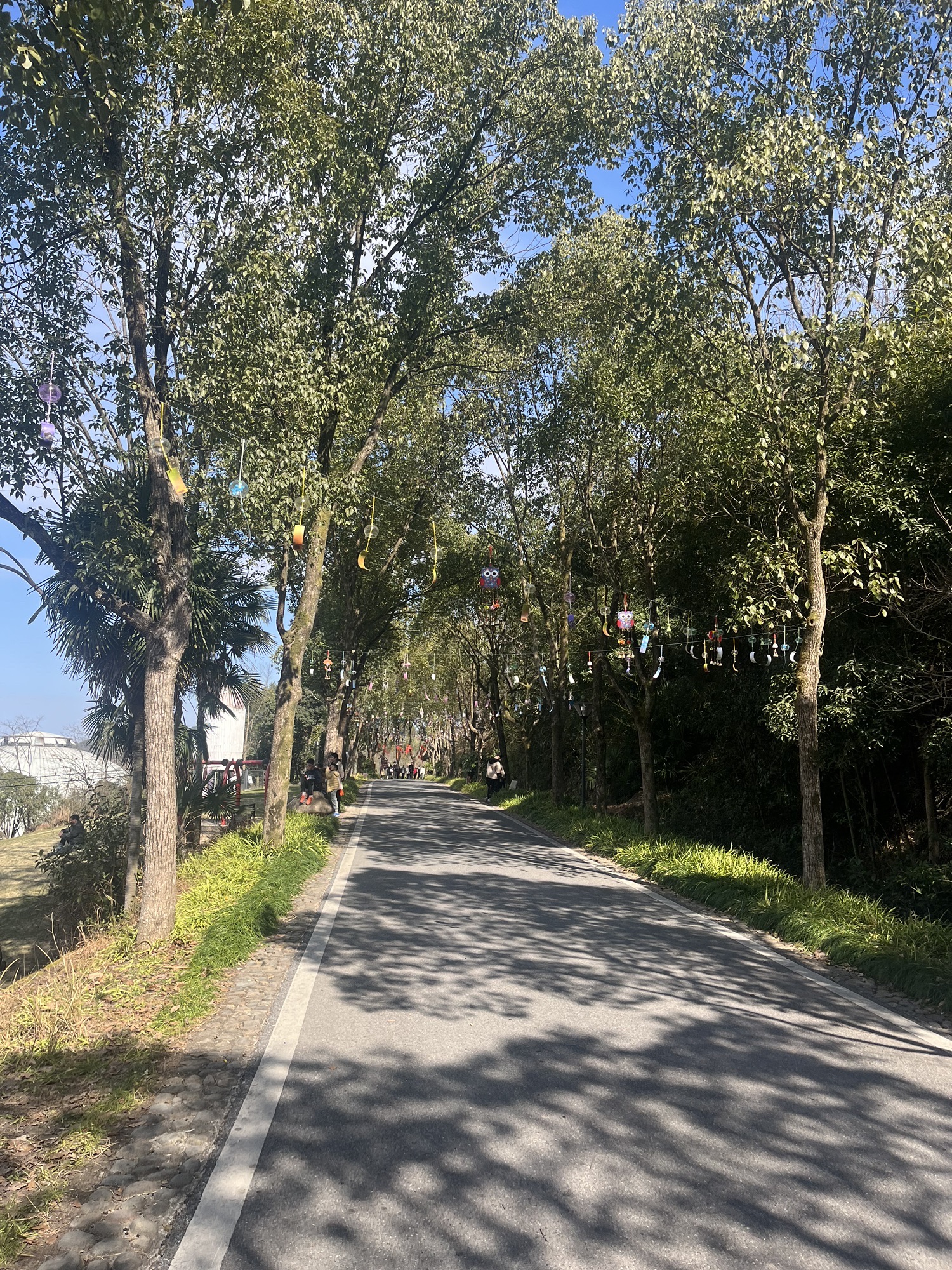缙云黄龙景区旅行图片 3