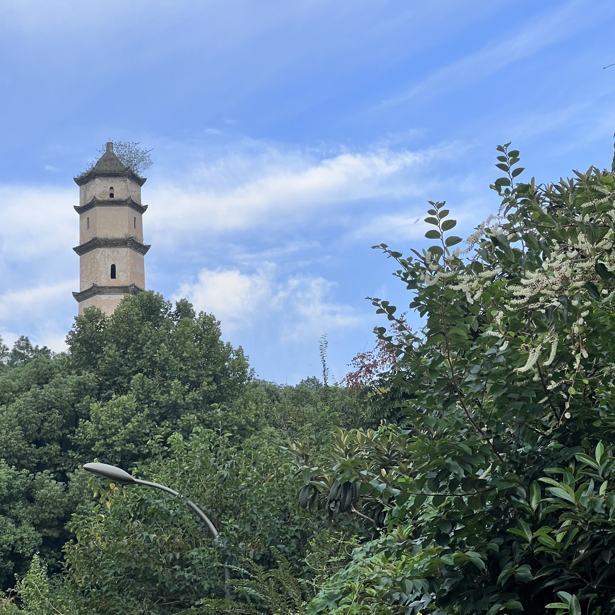 钓鱼矶公园旅行图片 1