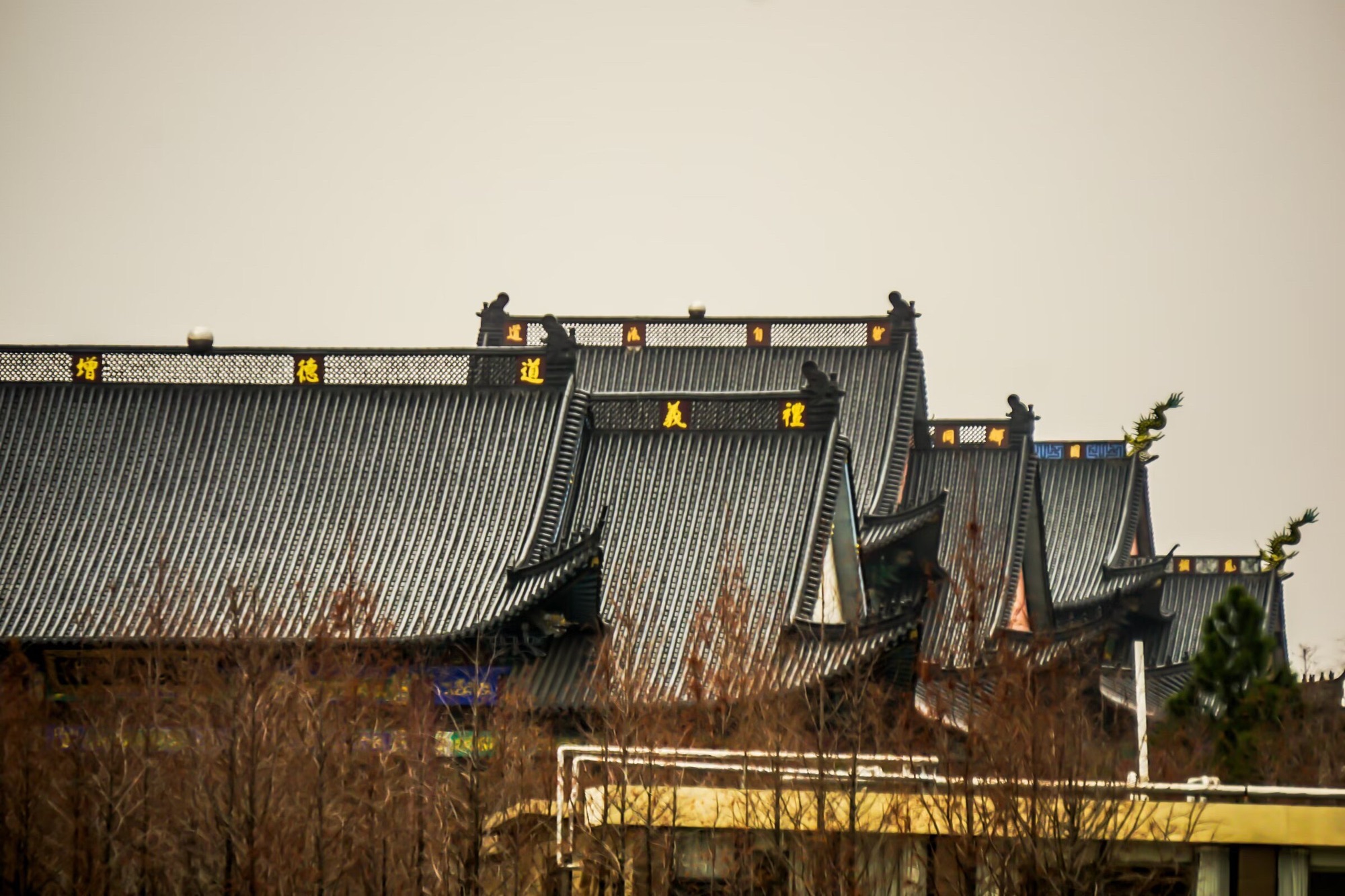 钓鱼矶公园旅行图片 3