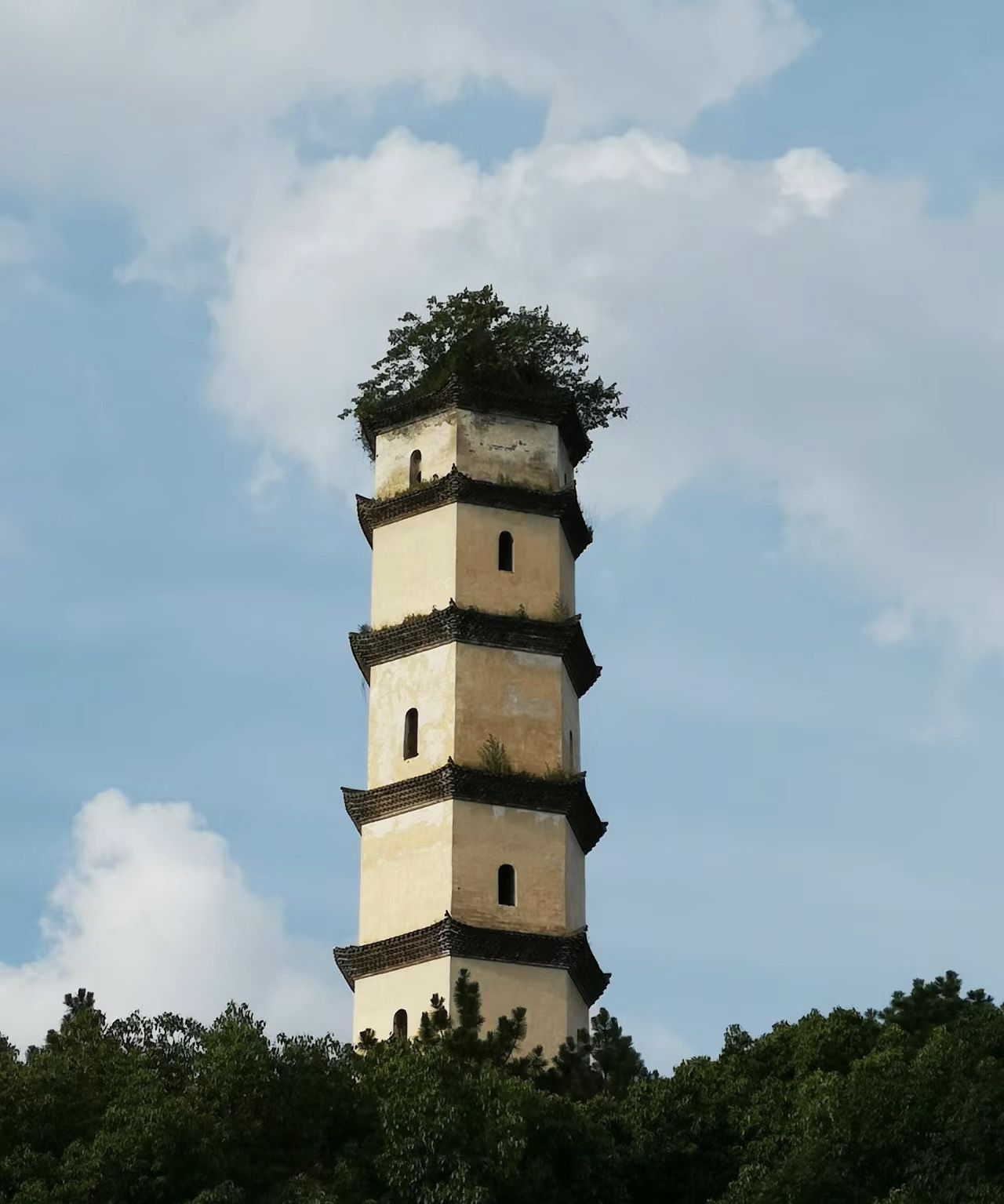 钓鱼矶公园旅行图片 3