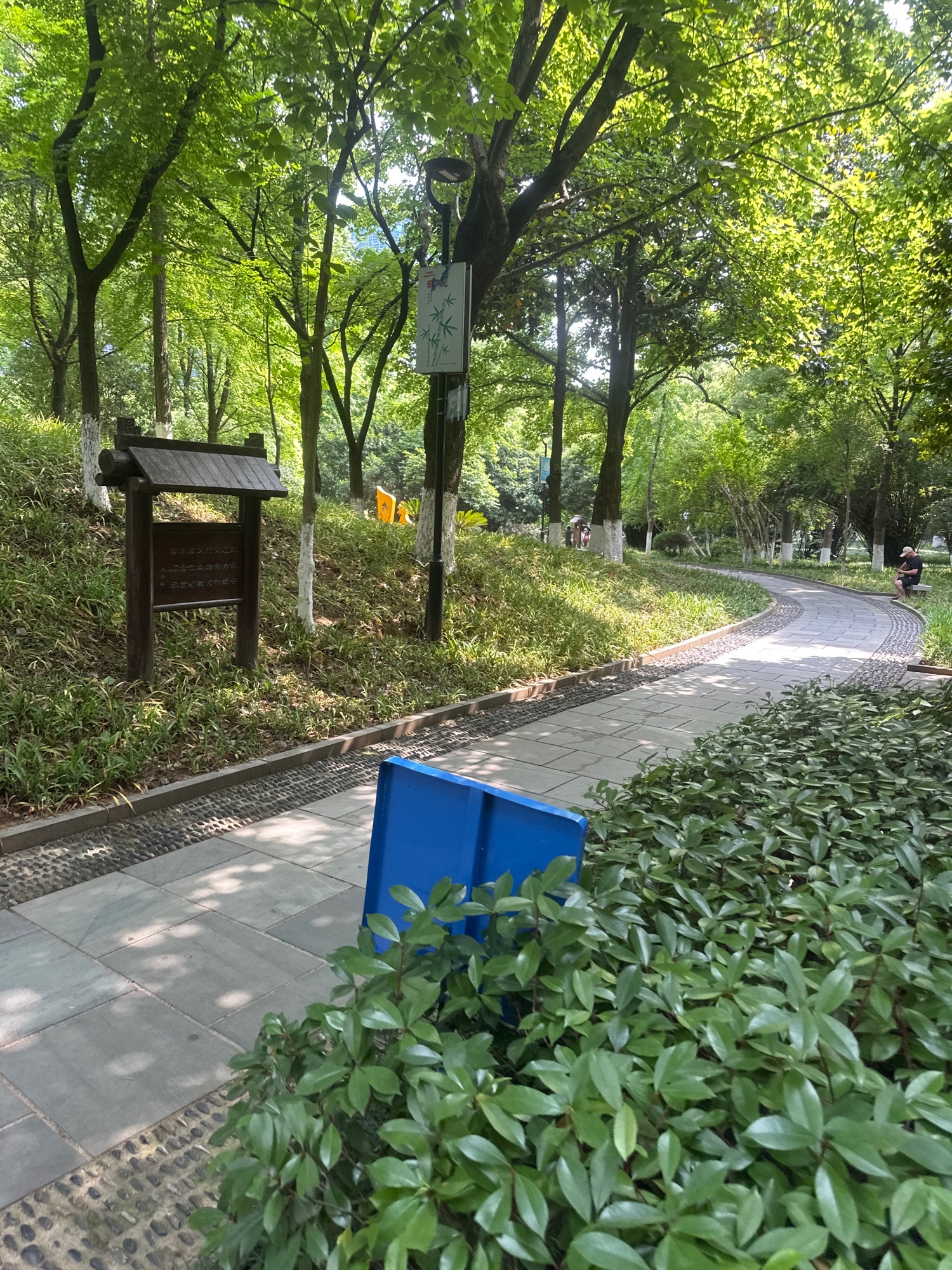 孝子祠公园旅行图片 2