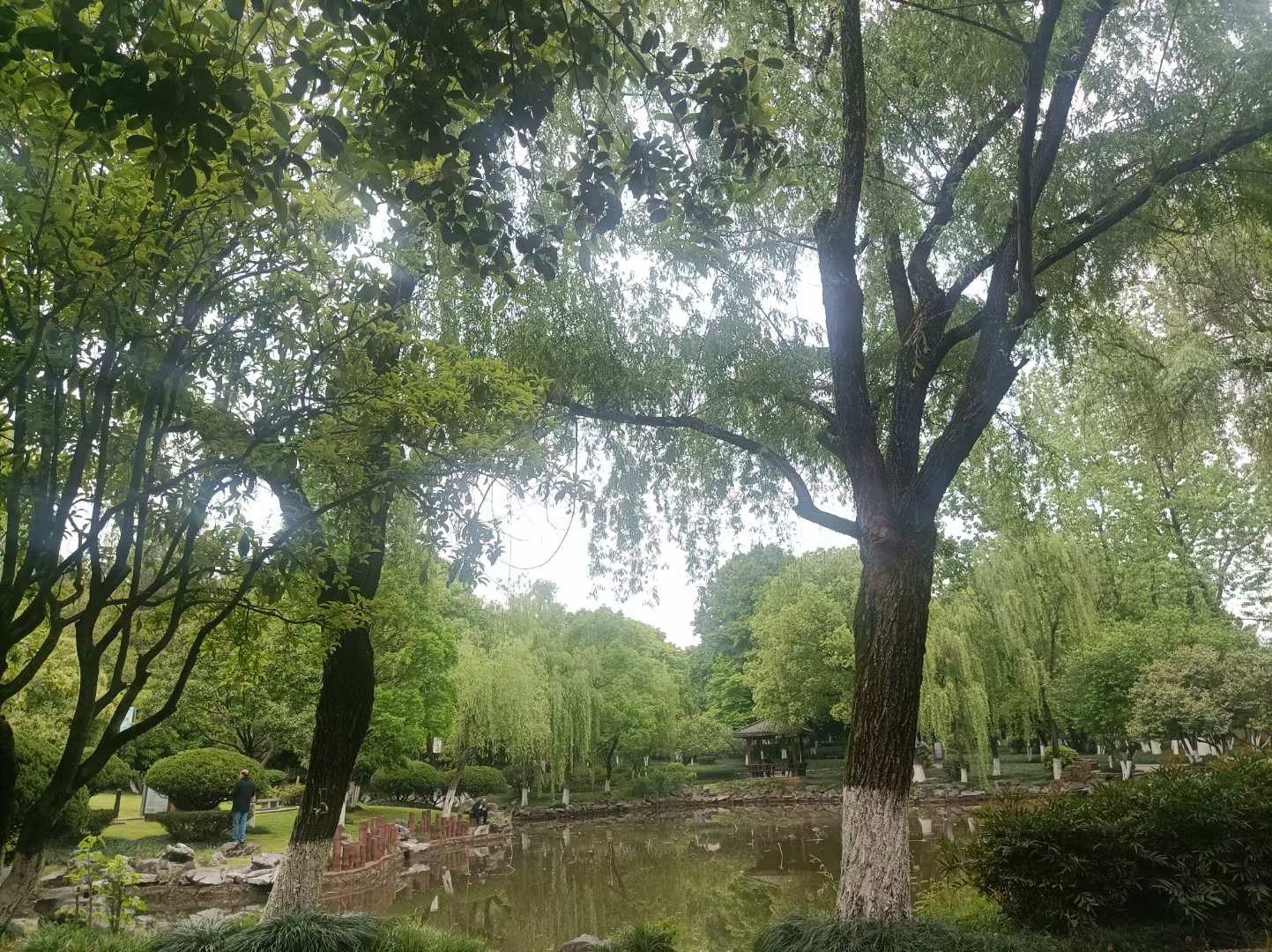 孝子祠公园旅行图片 1
