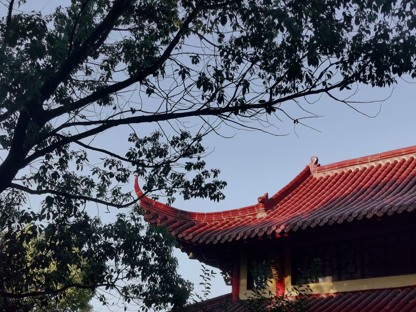 铜山岩旅行图片 3