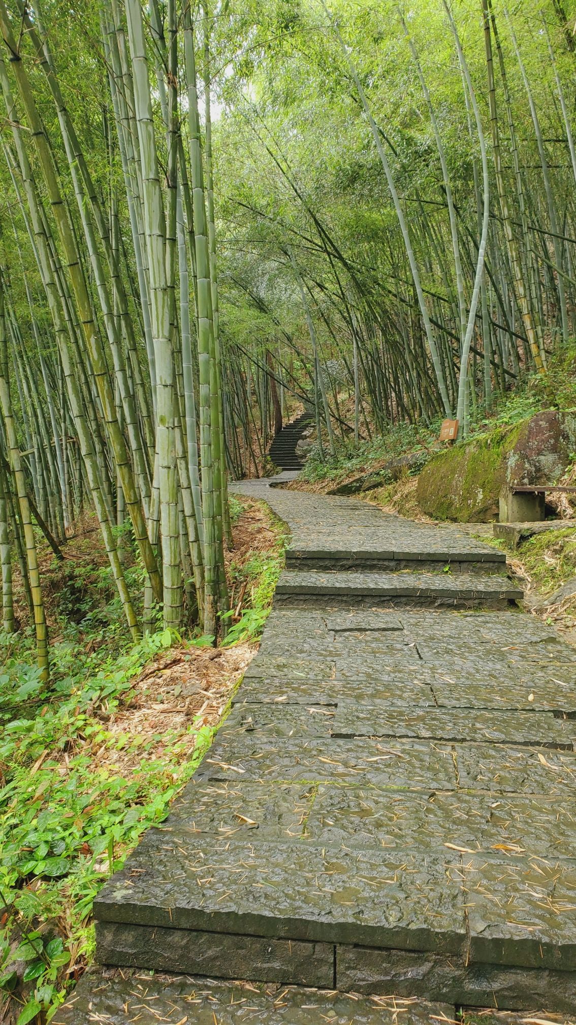 金华市磐安县百杖潭景区旅行图片 3